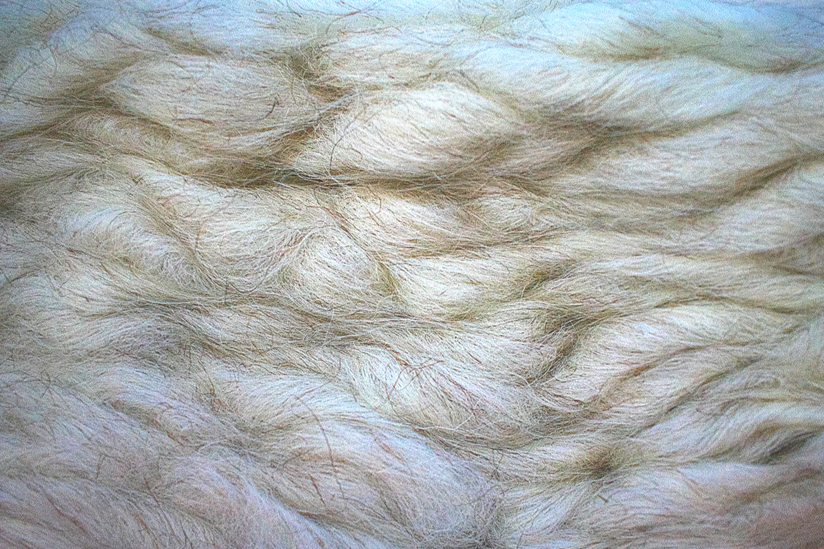 Natural Color Roving