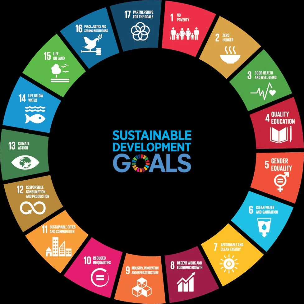 United Nations Sustainable Development Goals infographic showing all 17 goals in a colorful circular design