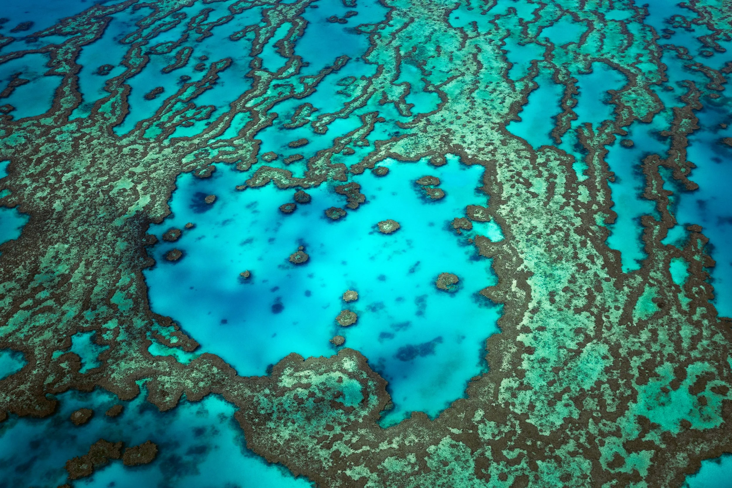 Aerial view of turquoise ocean waters surrounding intricate coral reefs and shallow lagoons