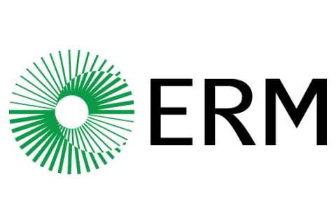 Green radial circular burst pattern on a black background