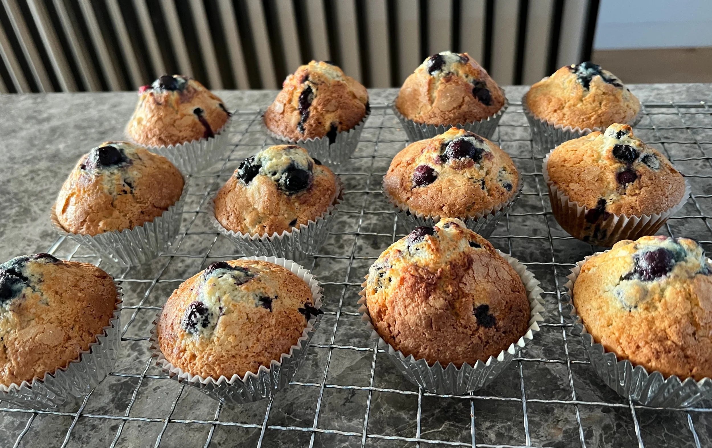 Gluten-Free Blueberry Muffins
