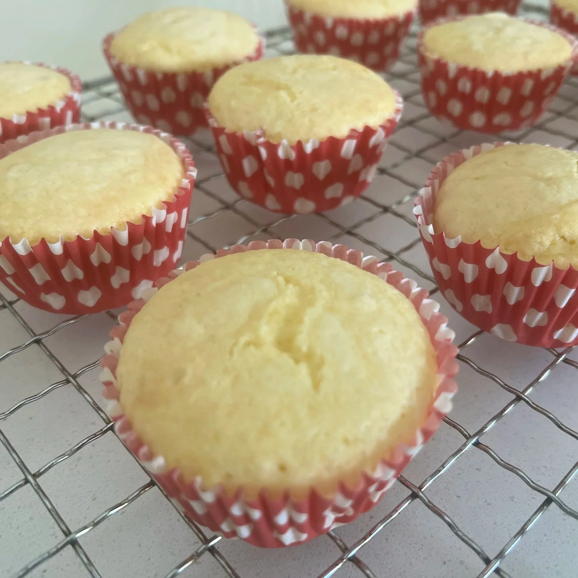 Gluten-Free Vanilla Cupcakes