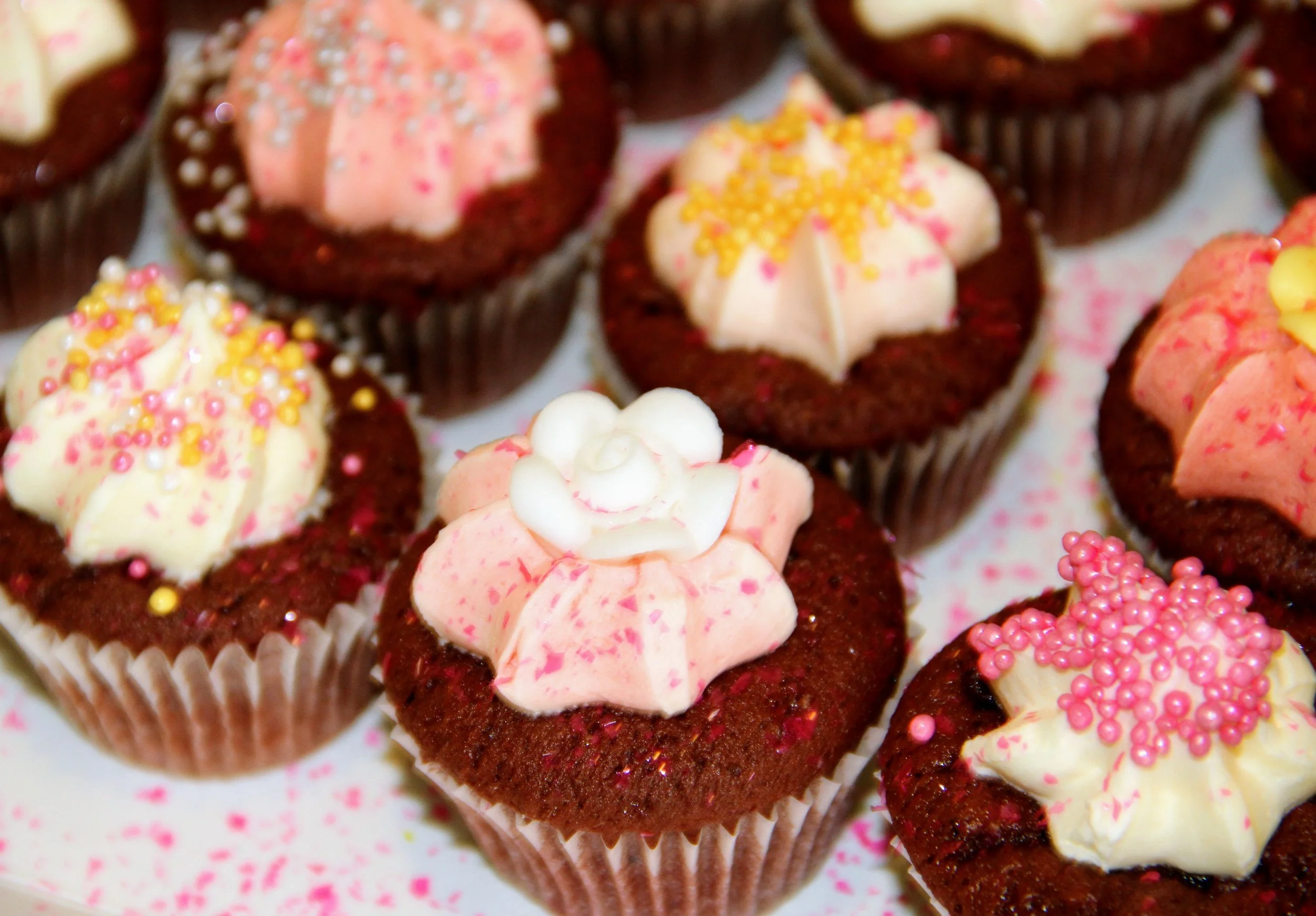 Chocolate Cupcakes