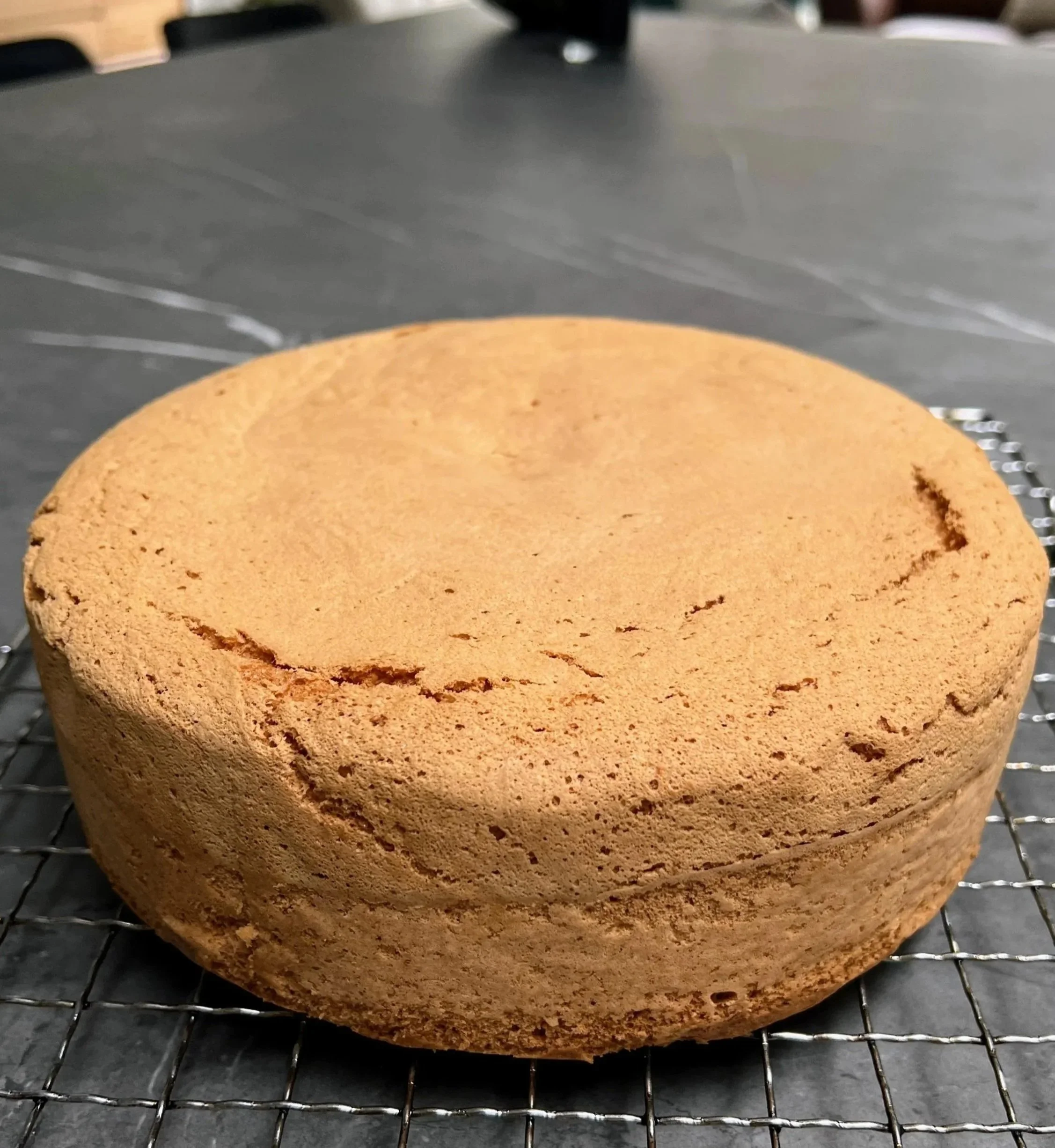 Plain Gluten-Free Vanilla Sponge
