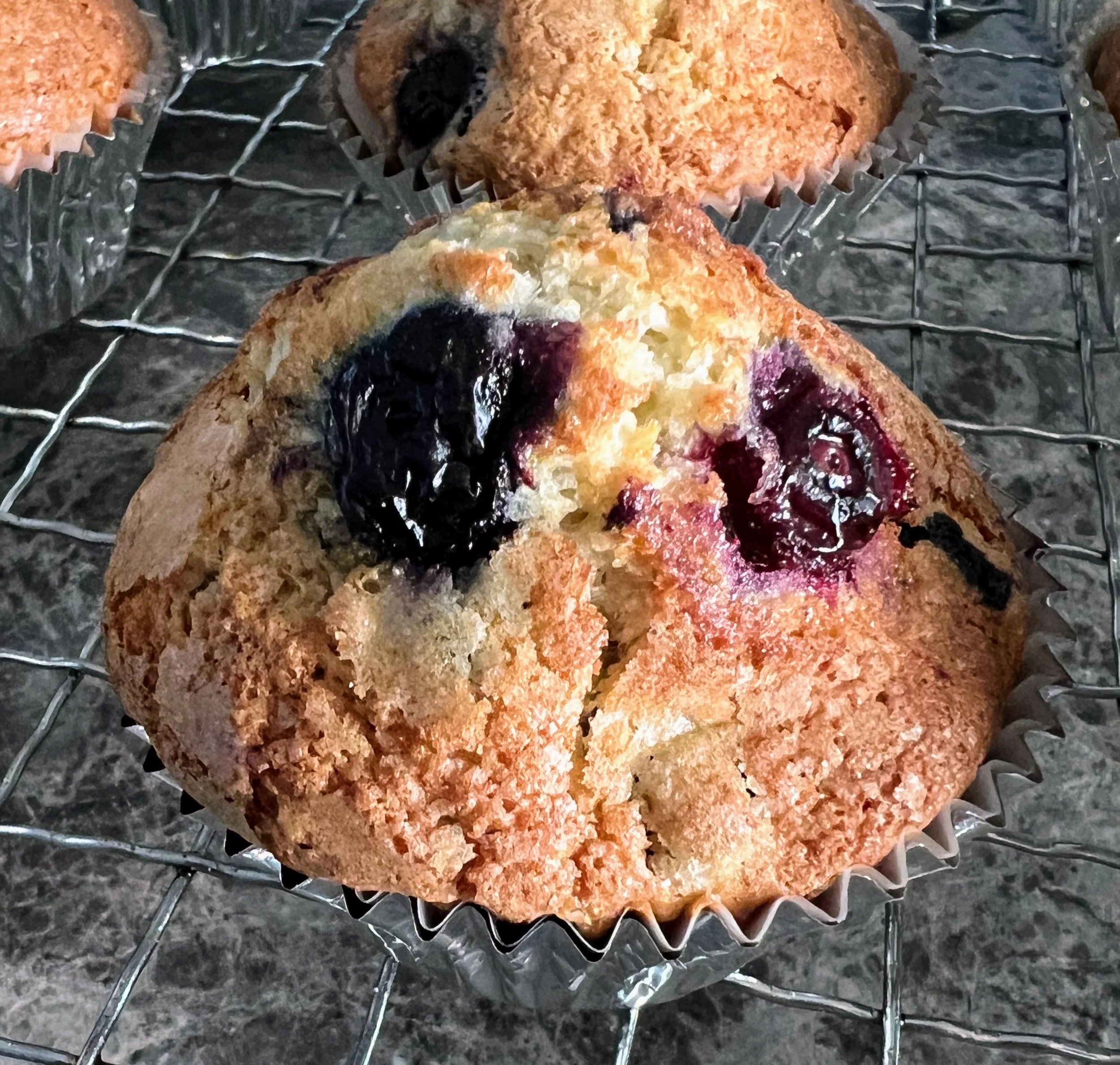 Blueberry Muffins