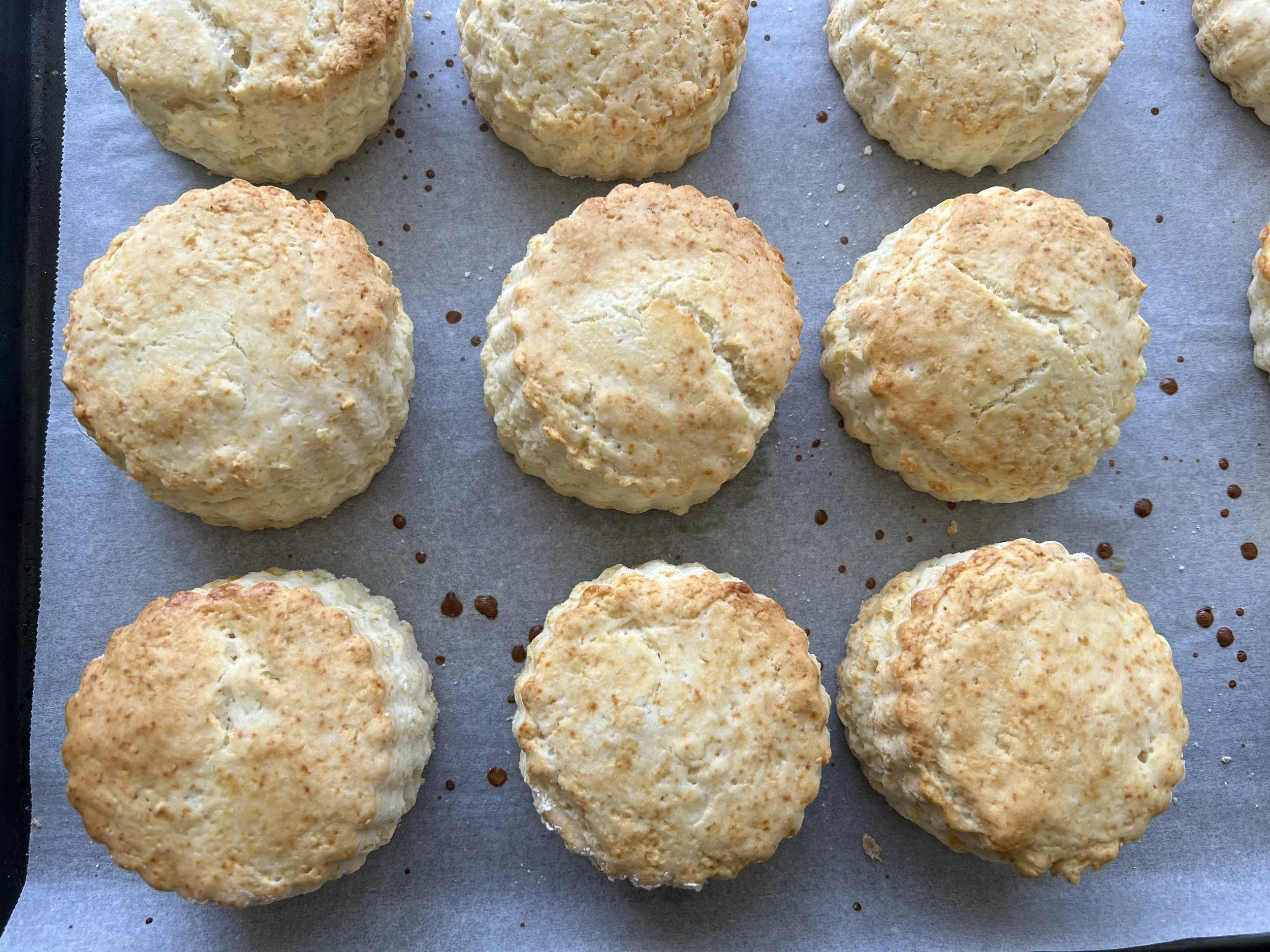 Fresh Baked Gluten-Free Scones
