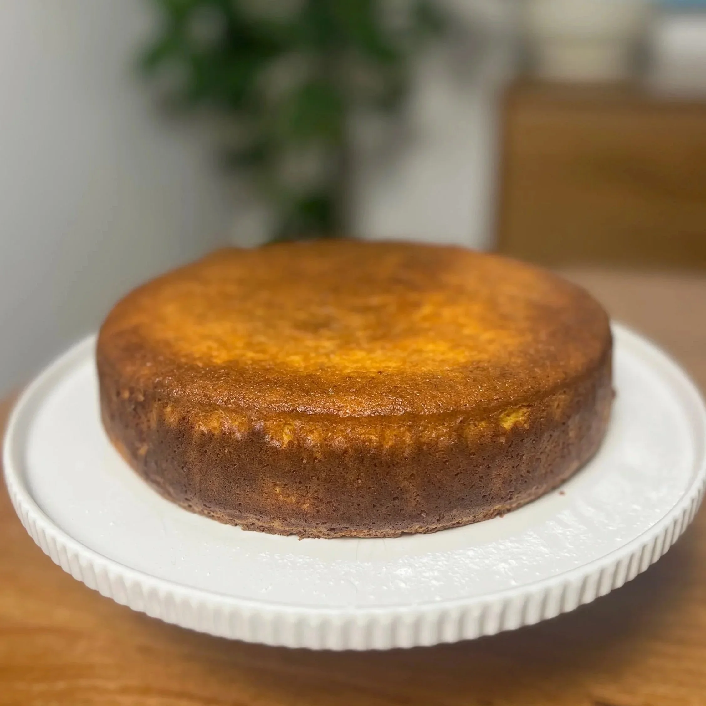 Freshly Baked Flourless Orange Cake