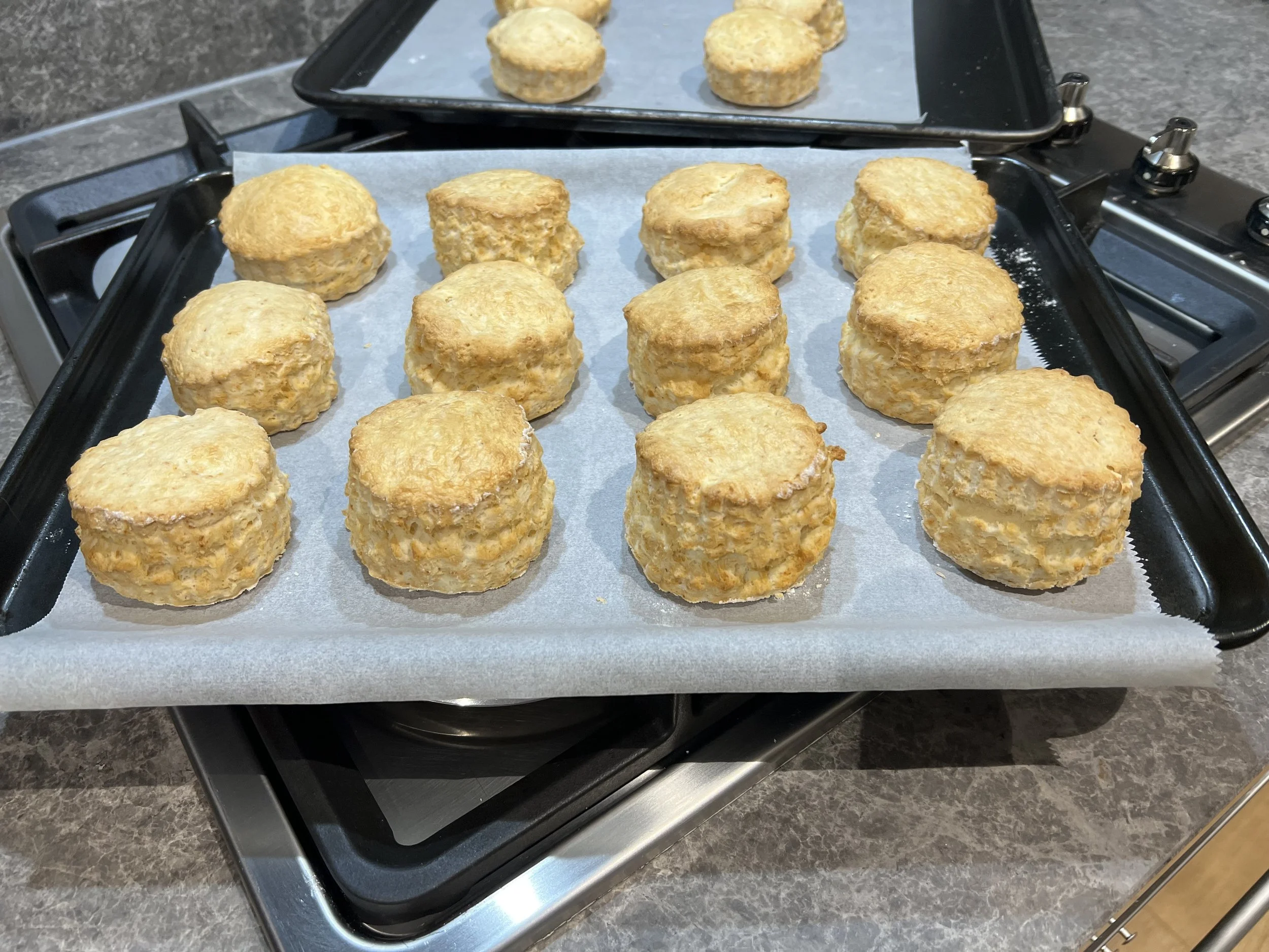 Gluten-Free Scones