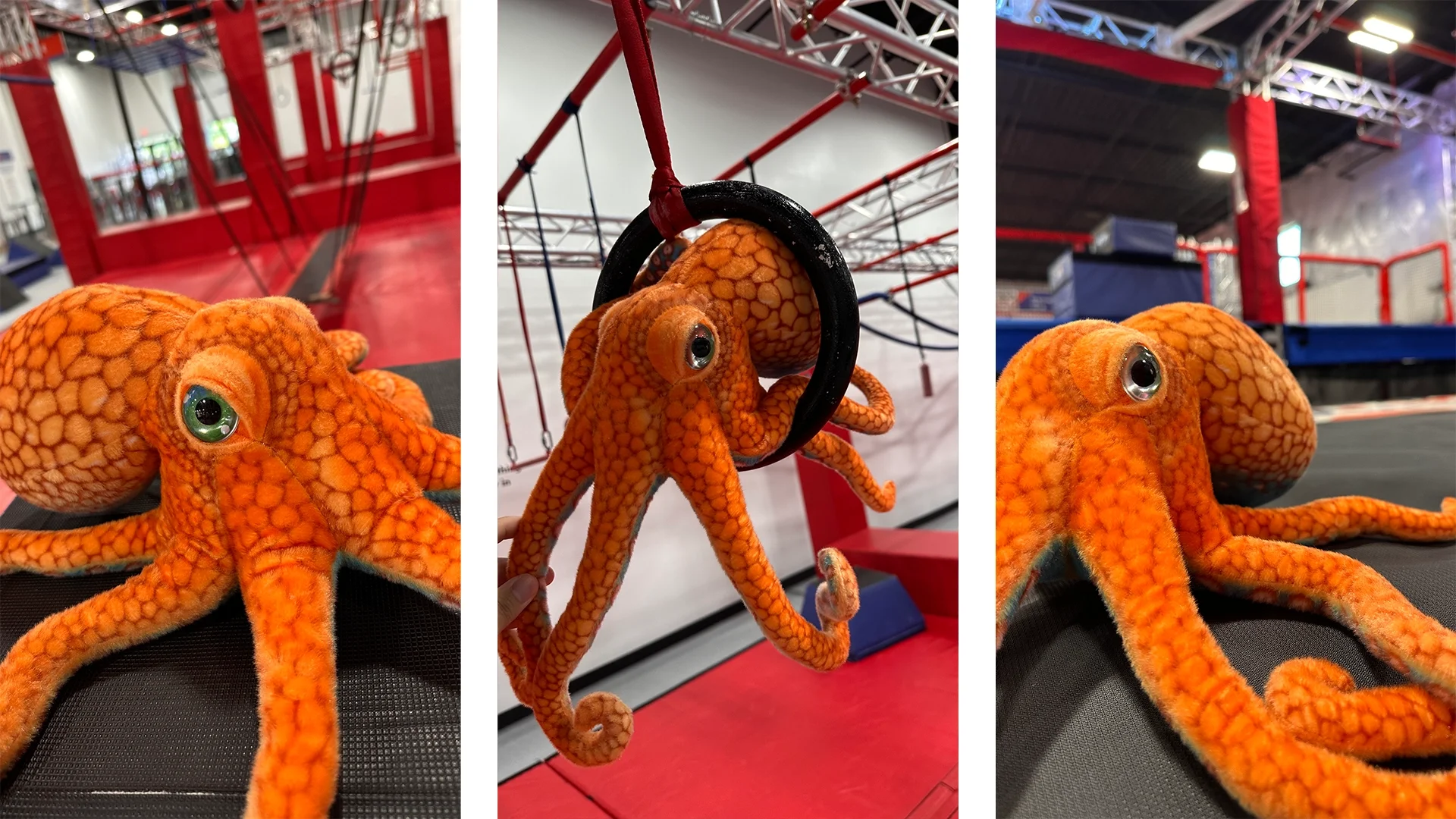 Ninja Nation Austin Is Now Octo Ninja