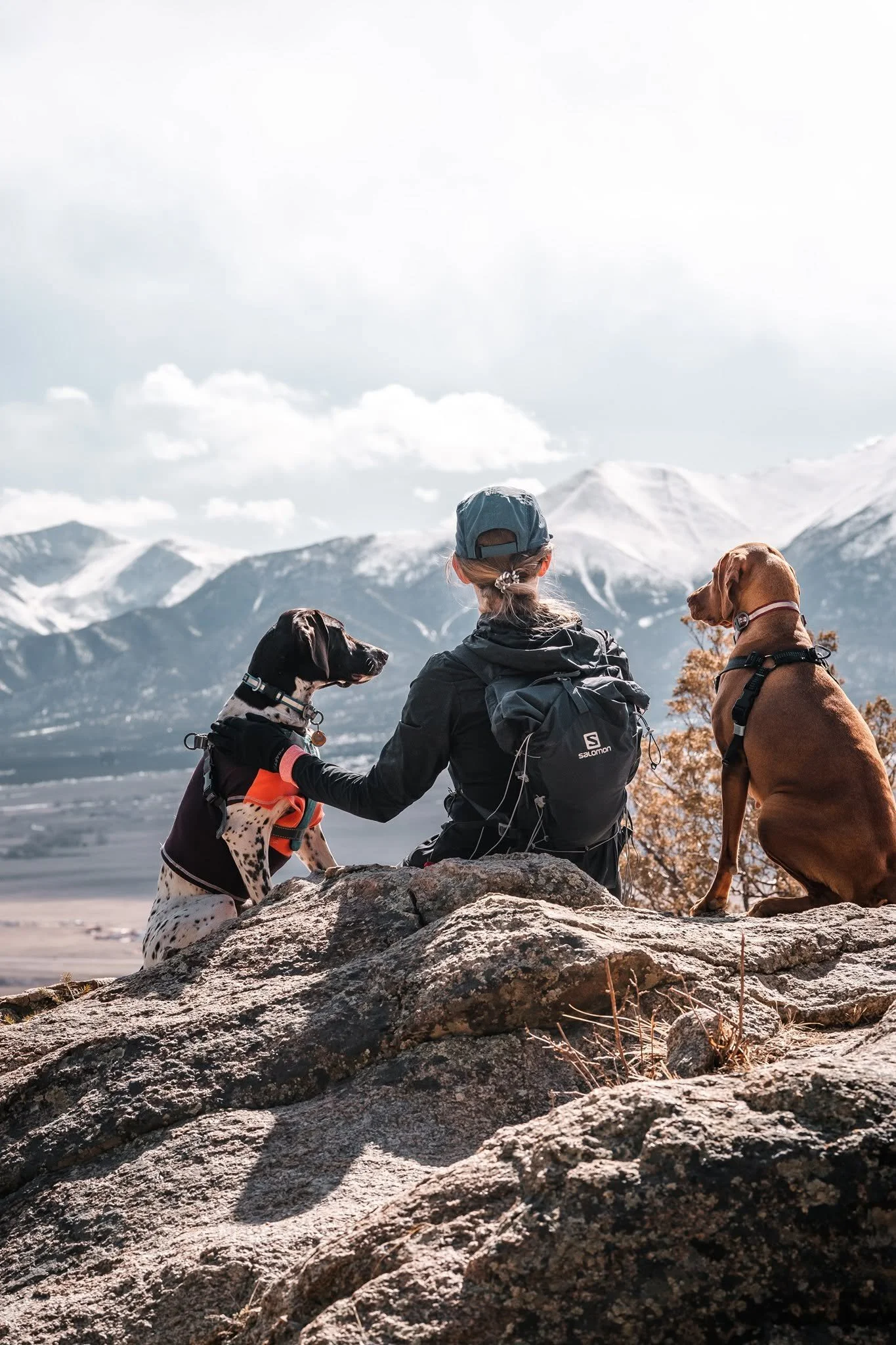 A person sitting on a rock with two dogs, overlooking snow-capped mountains and a body of water.