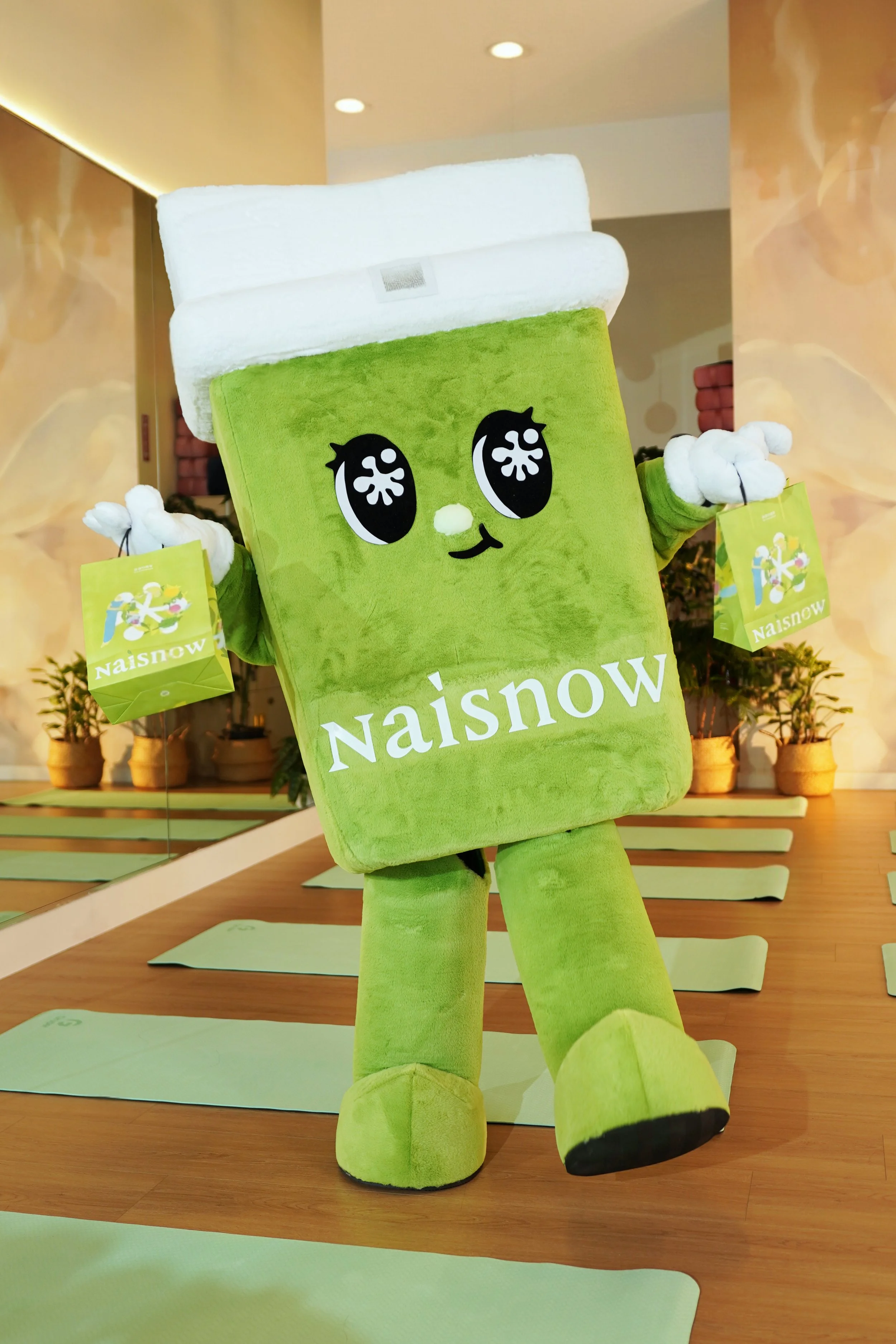 NAISNOW