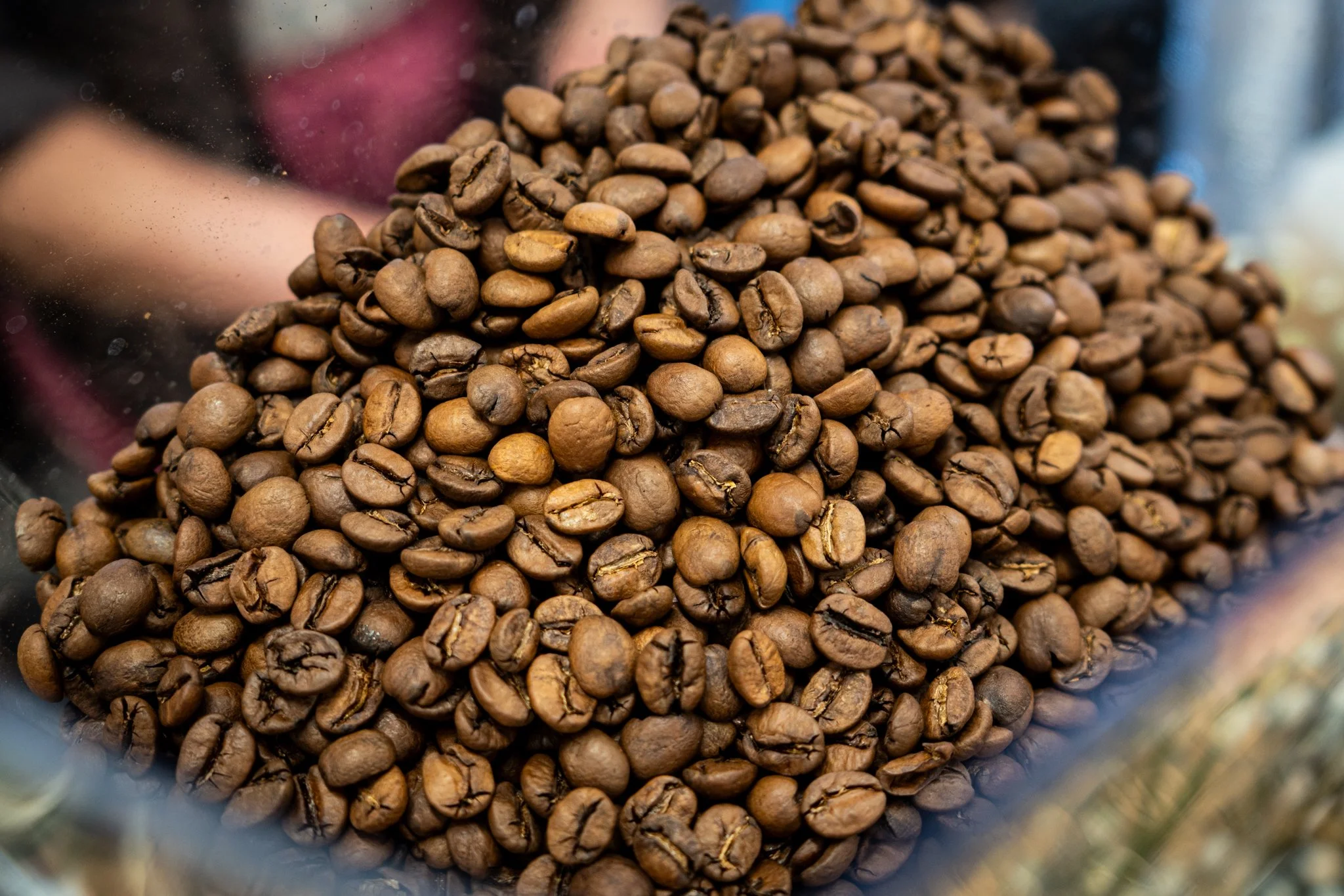 Close-up view of roasted coffee beans inside a glass container.