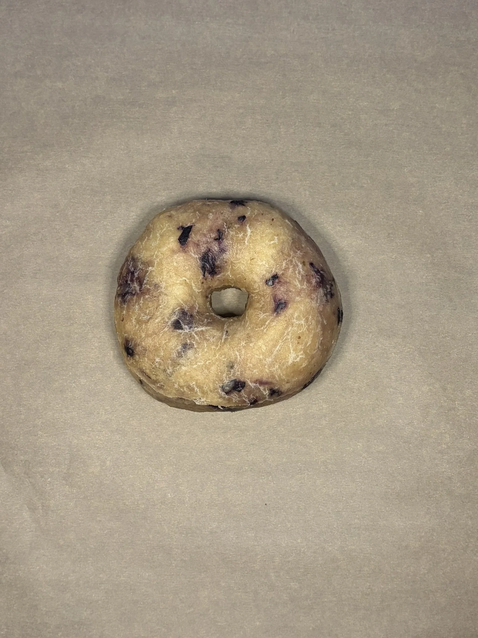 blueberry bagel.JPEG