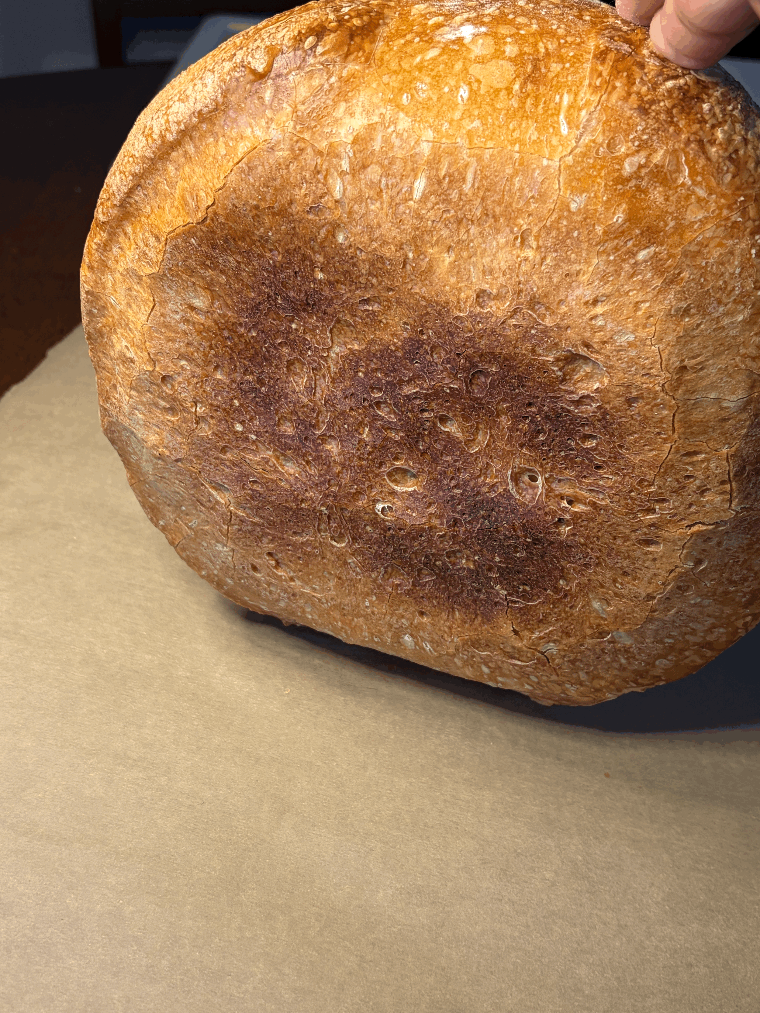 tempImageFcQpCL.gif