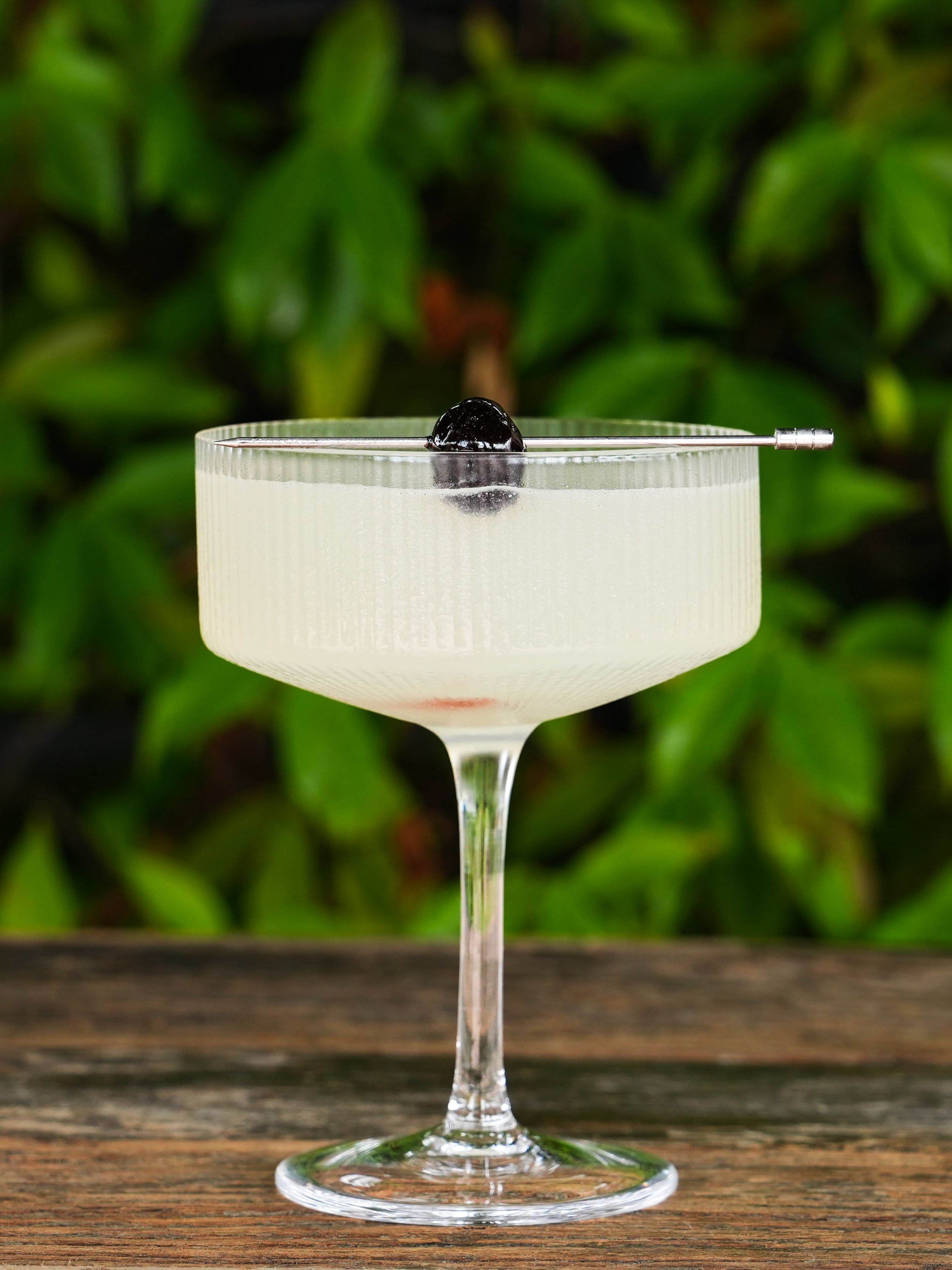 THE CASINO - Gin, lemon, maraschino liqueur