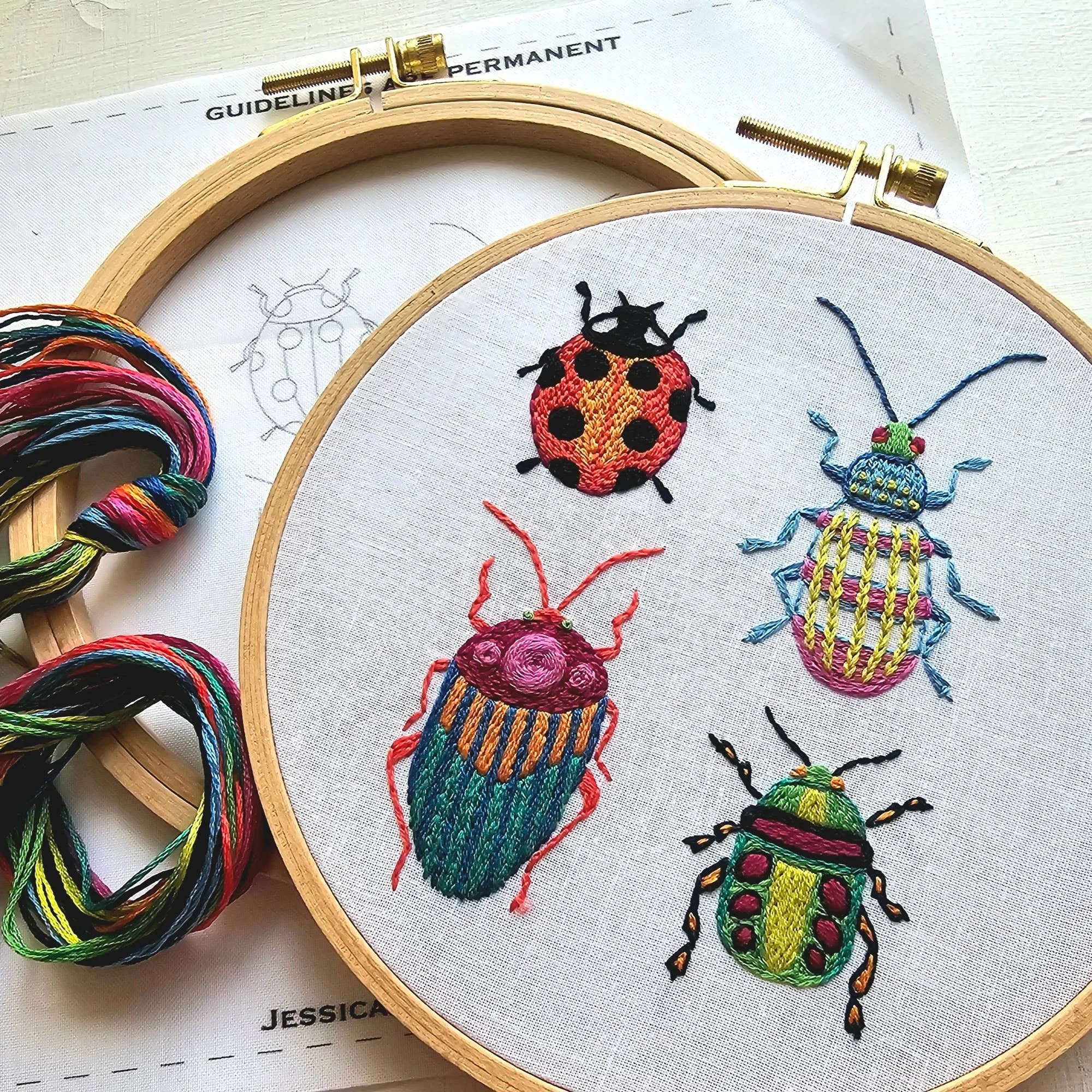 beetle-collection-embroidery-kit.jpg