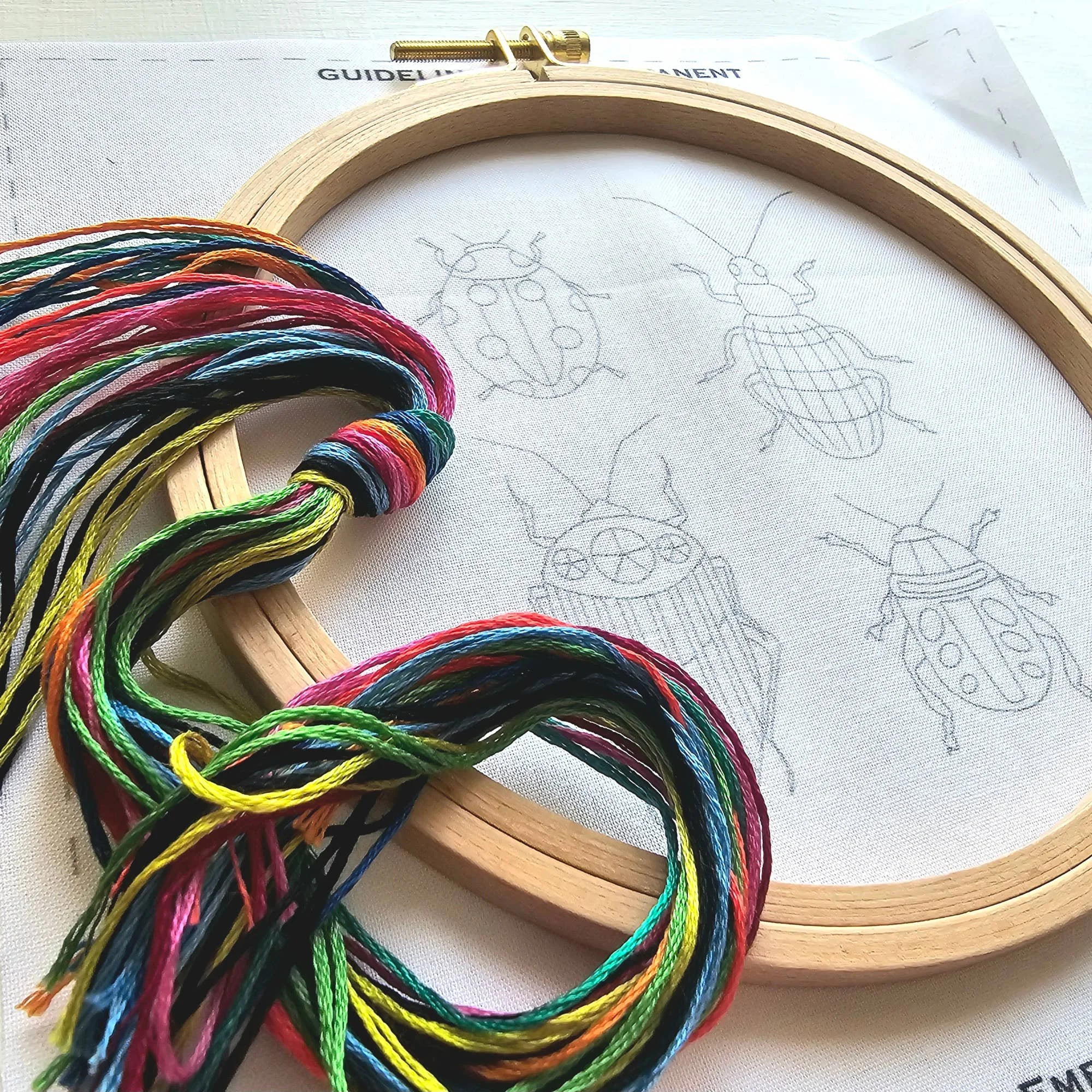 beetle-collection-embroidery-kit-3.jpg