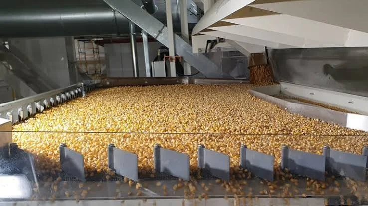 Large industrial machine sorting or processing a large volume of popcorn or similar snack food in a factory setting.