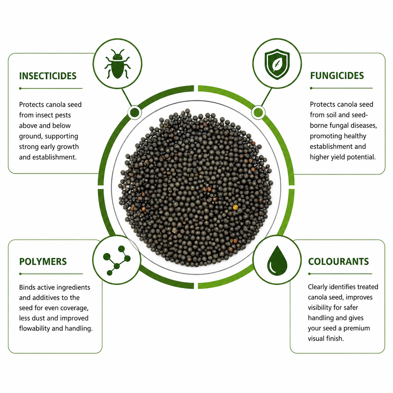 Infographic displaying the benefits and features of treated canola seed, surrounded by labels for insecticides, fungicides, polymers, and colorants, with a central image of black seeds.