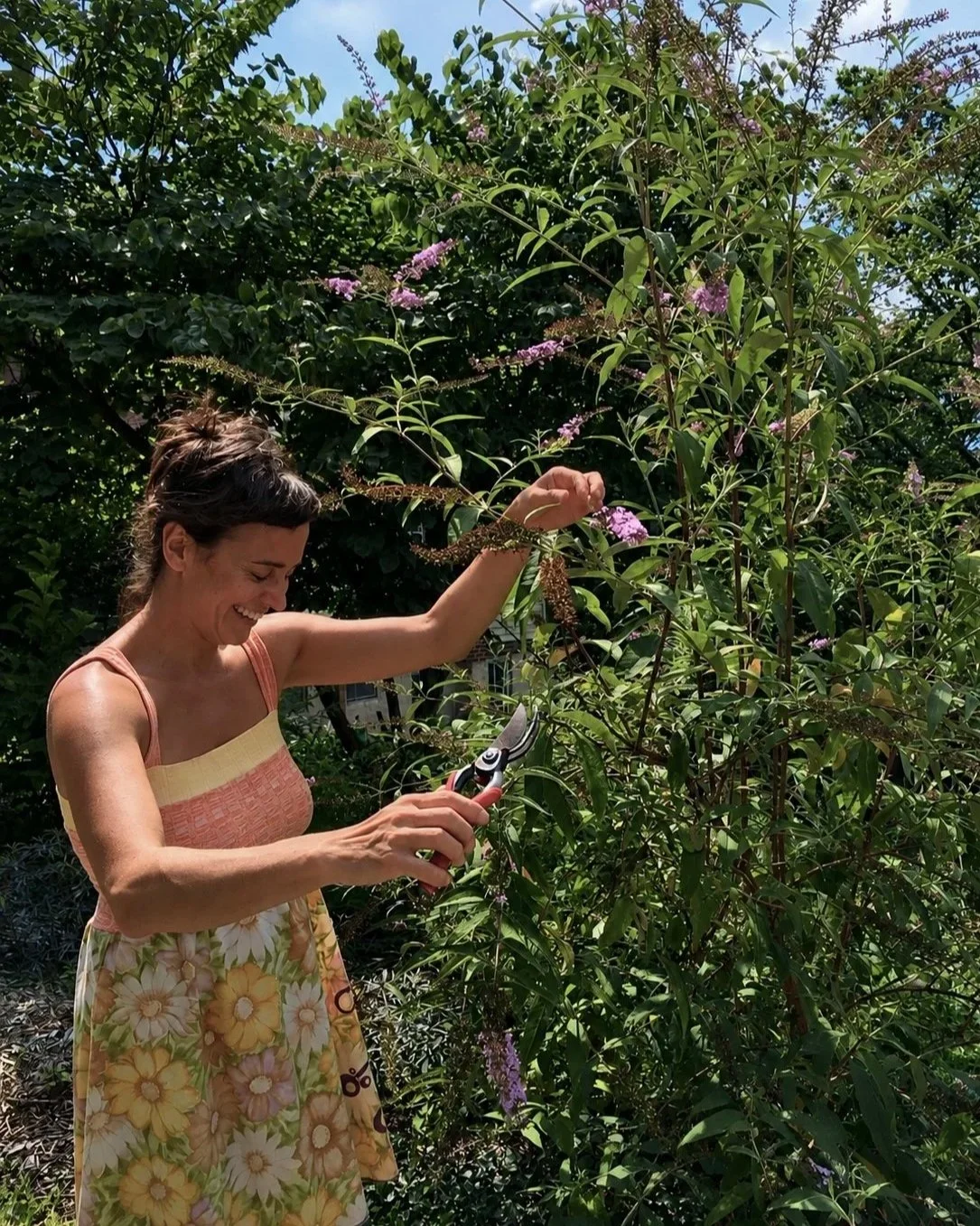 A woman with short brown hair smiling while pruning a tall flowering shrub with pruning shears, surrounded by green foliage and purple flowers on a sunny day.