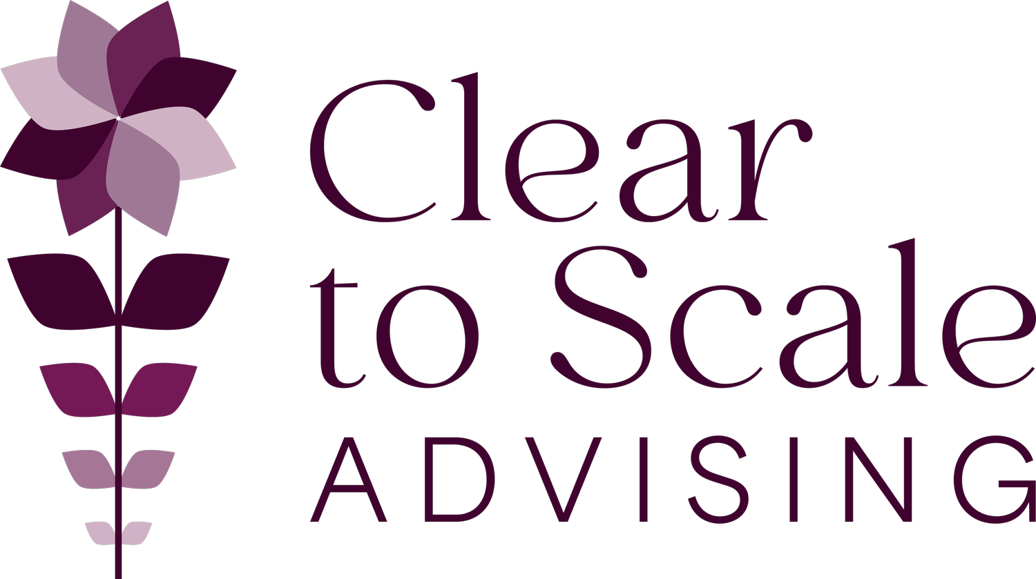 Clear to Scale Advising
