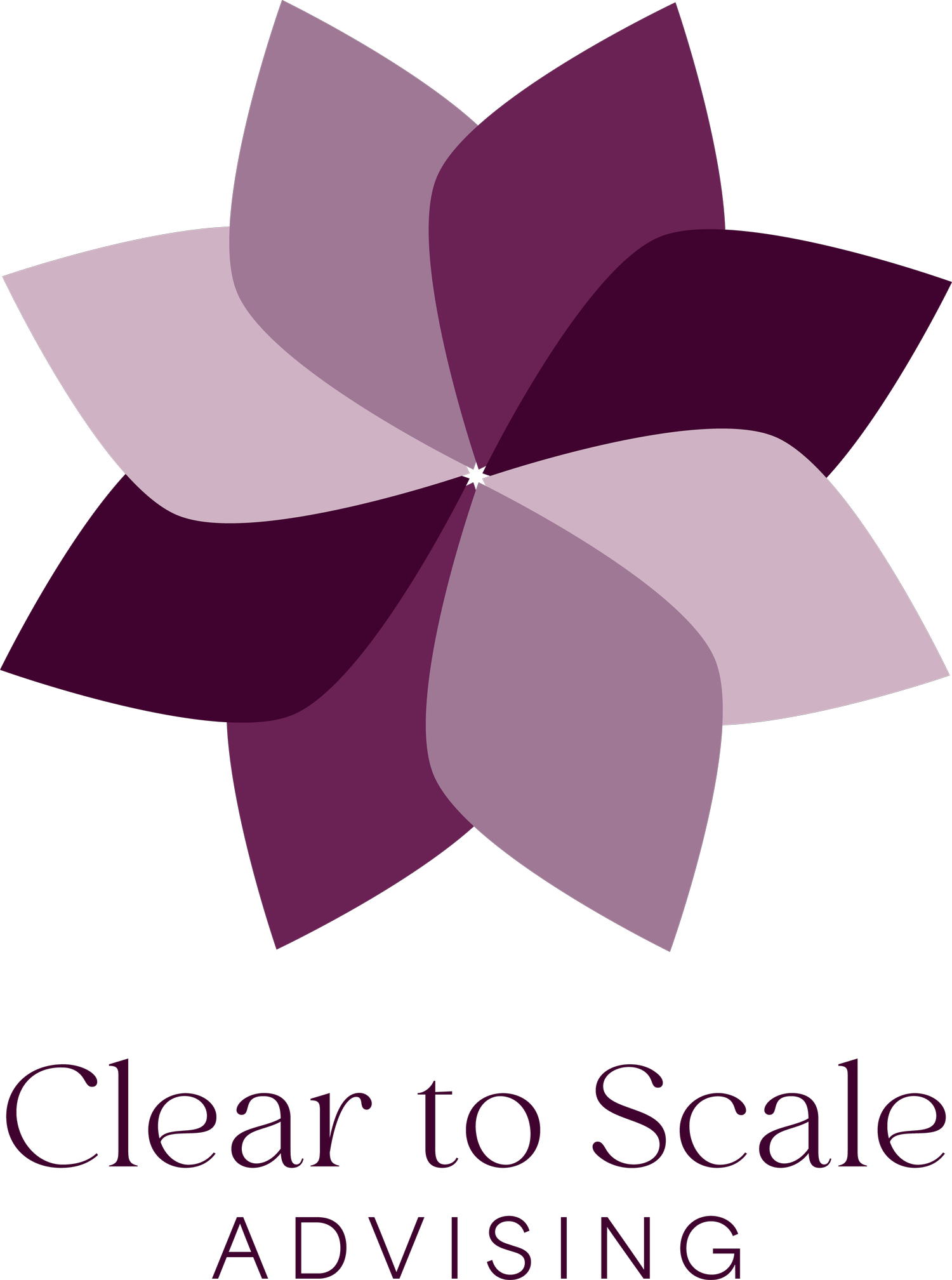 Clear to Scale Advising