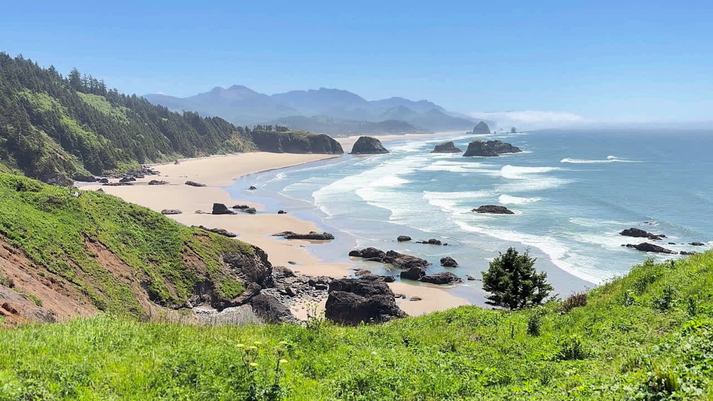 Scenic view of Oregon rugged coastline with sandy beach, large rocks, green cliffs, and forested hills under a clear blue sky.