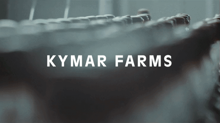 Kymar-ezgif.com-video-to-gif-converter 1.gif