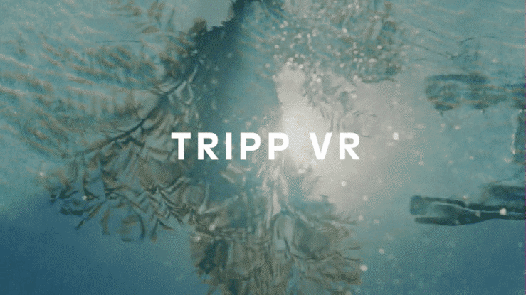 TrippVR-ezgif.com-video-to-gif-converter.gif