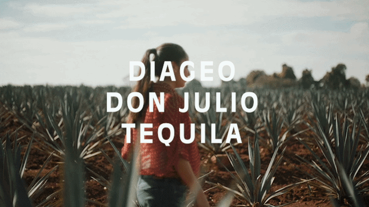 DIAGEODJCD-ezgif.com-video-to-gif-converter.gif