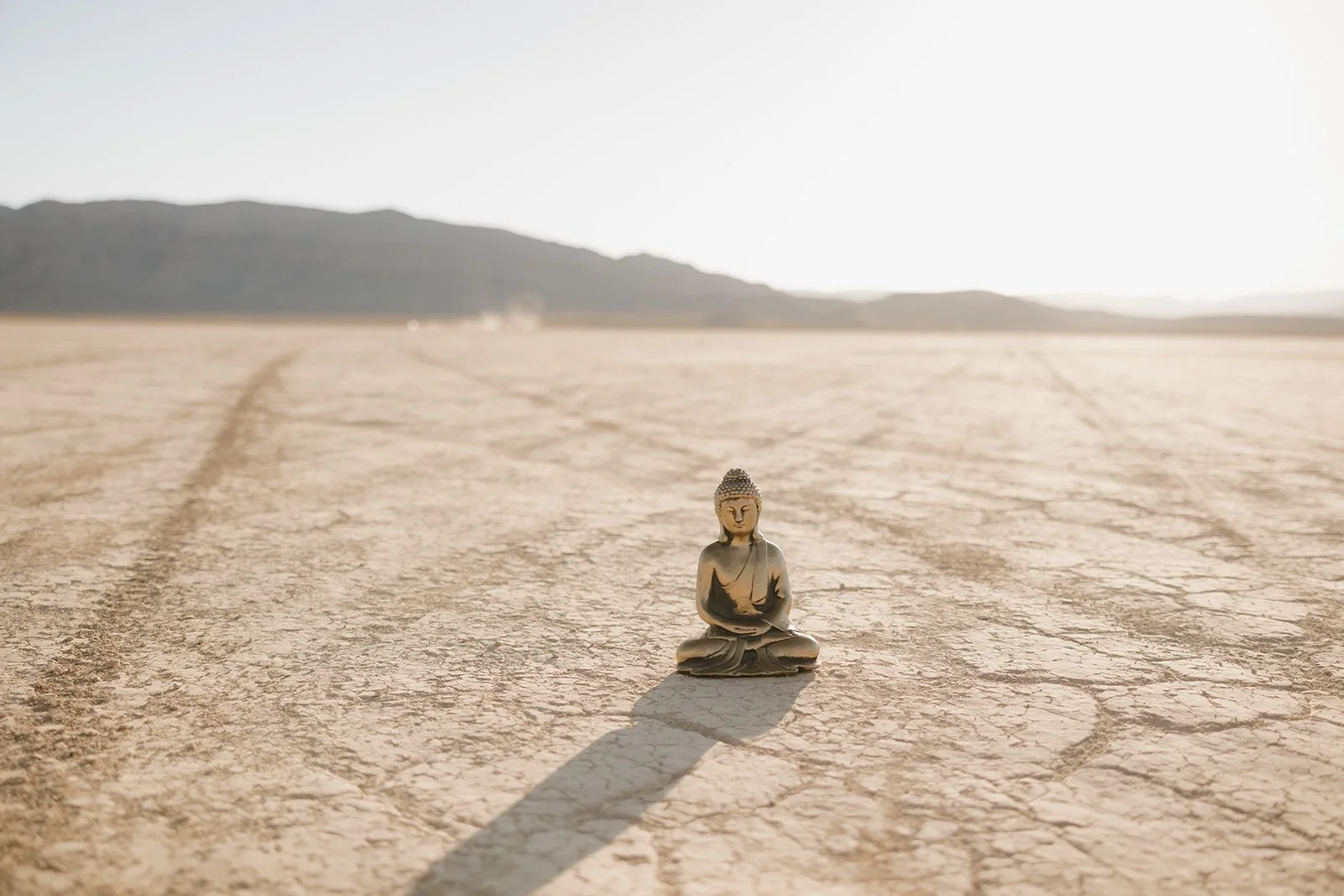 What Is The Buddhist Middle Way?