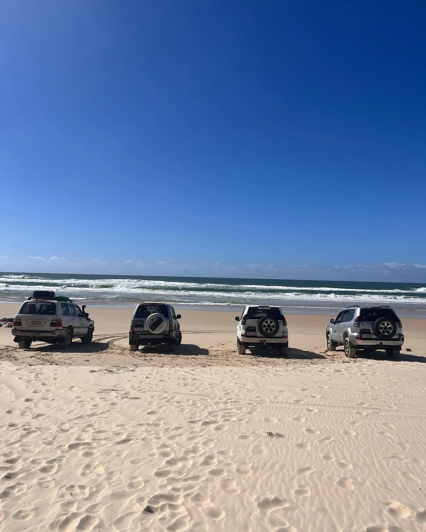 *No dingoes were destroyed while taking this tour