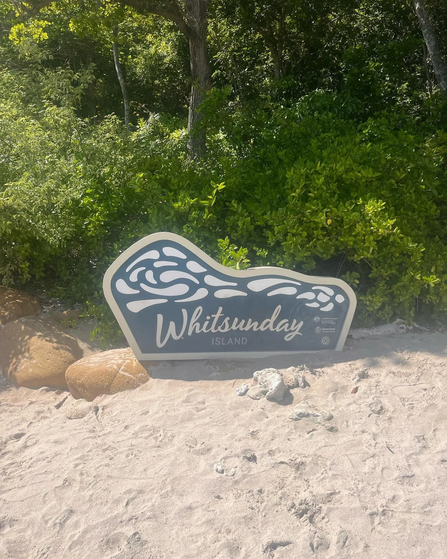 🏝️☀️🦈🦎🛥️