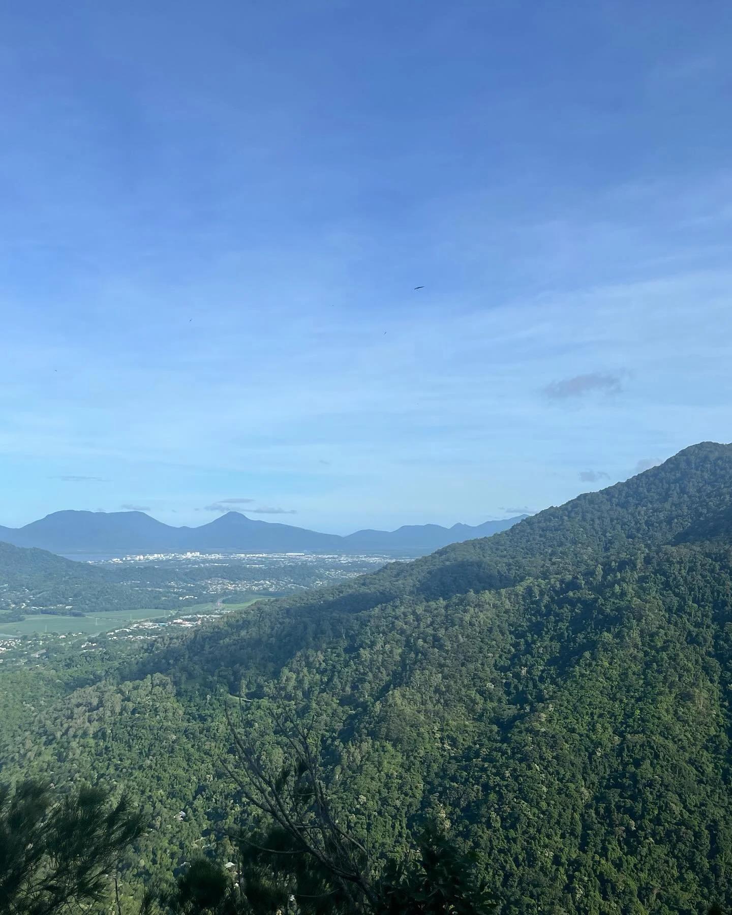 Brought Canada to Cairns