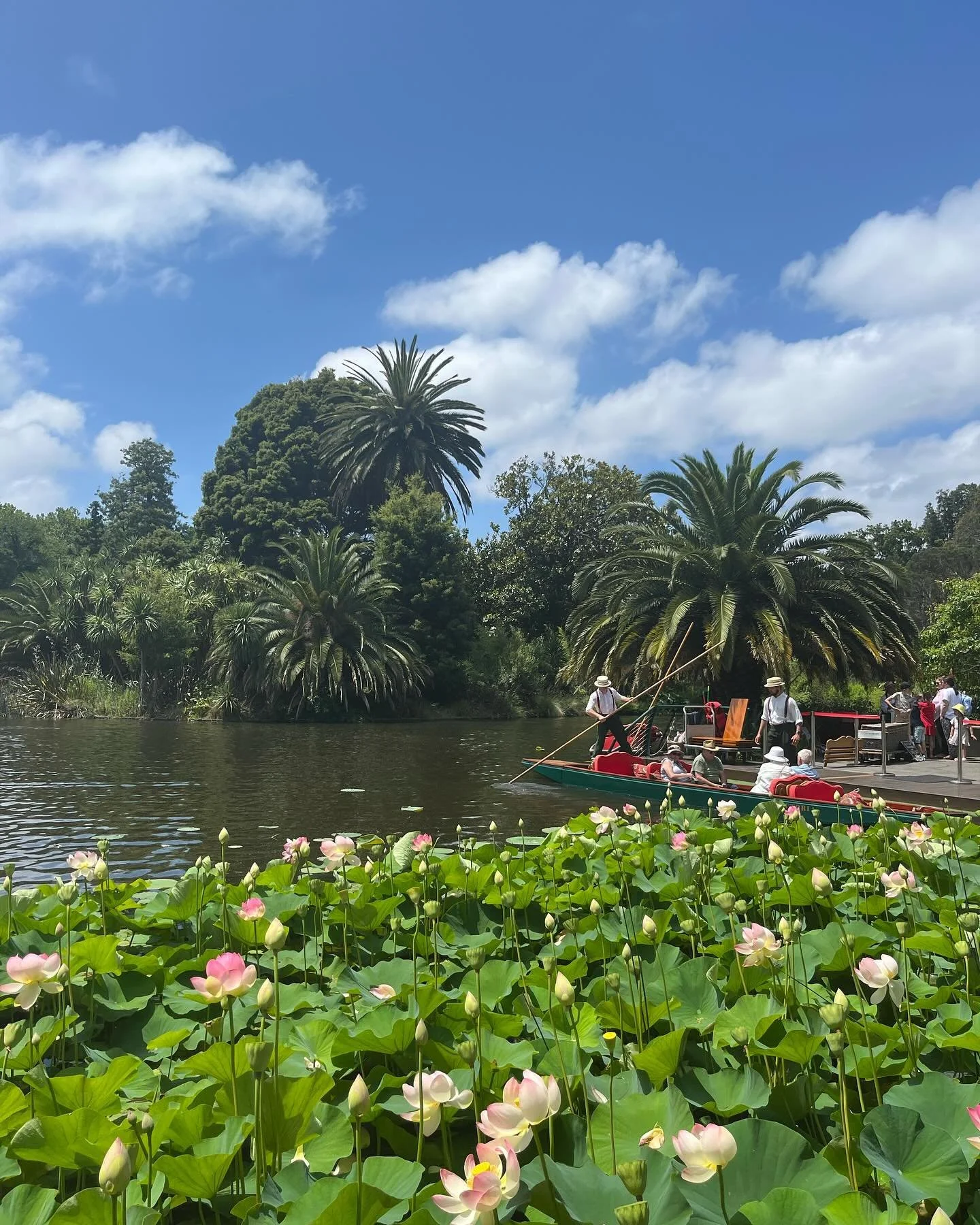 Finally visited the Botanical Gardens