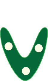Close-up of a green tennis shoe with white dots