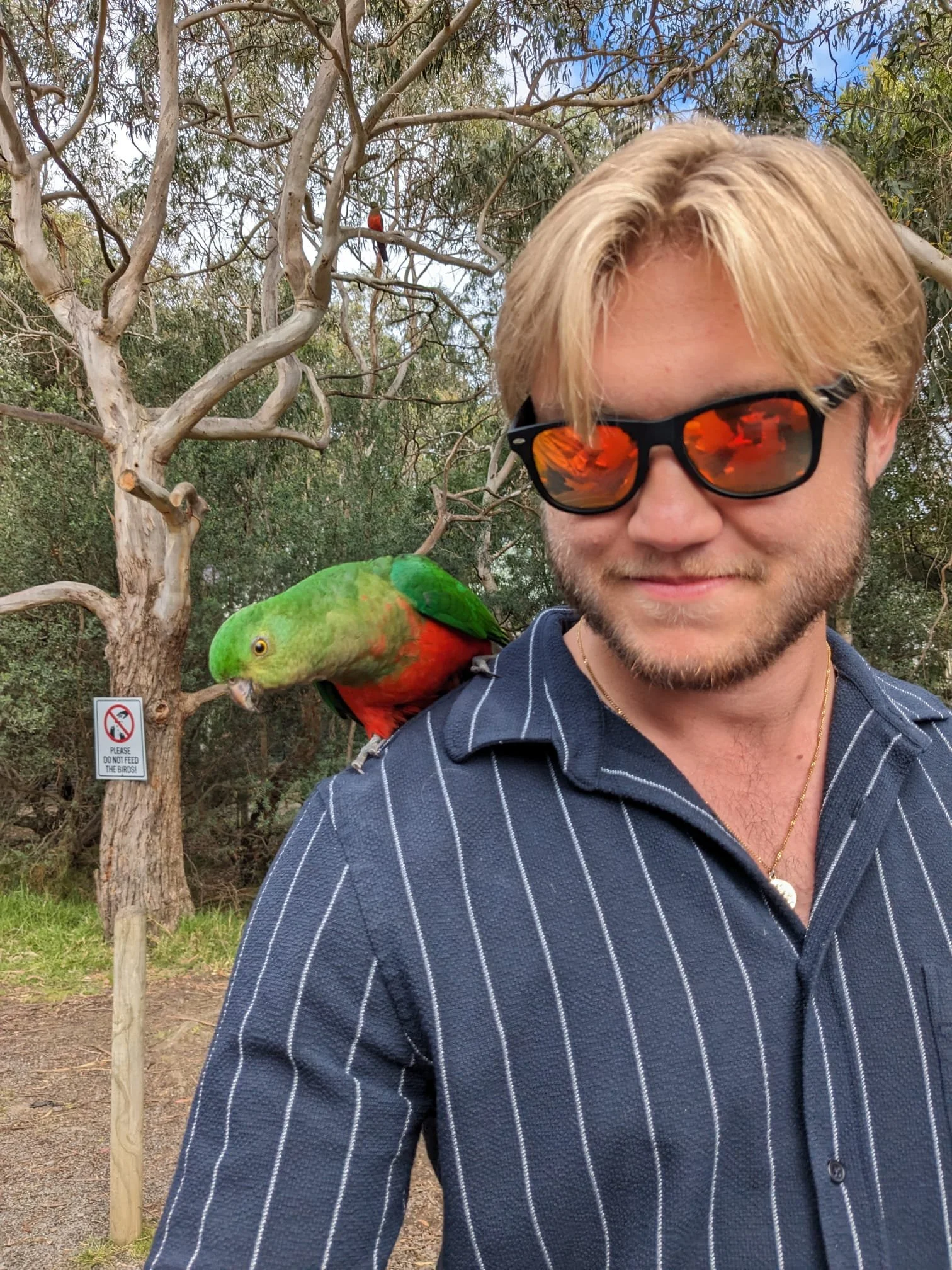 A man with blonde hair wearing sunglasses and a blue striped shirt is taking a selfie outdoors, with a colorful parrot perched on his shoulder and trees in the background.