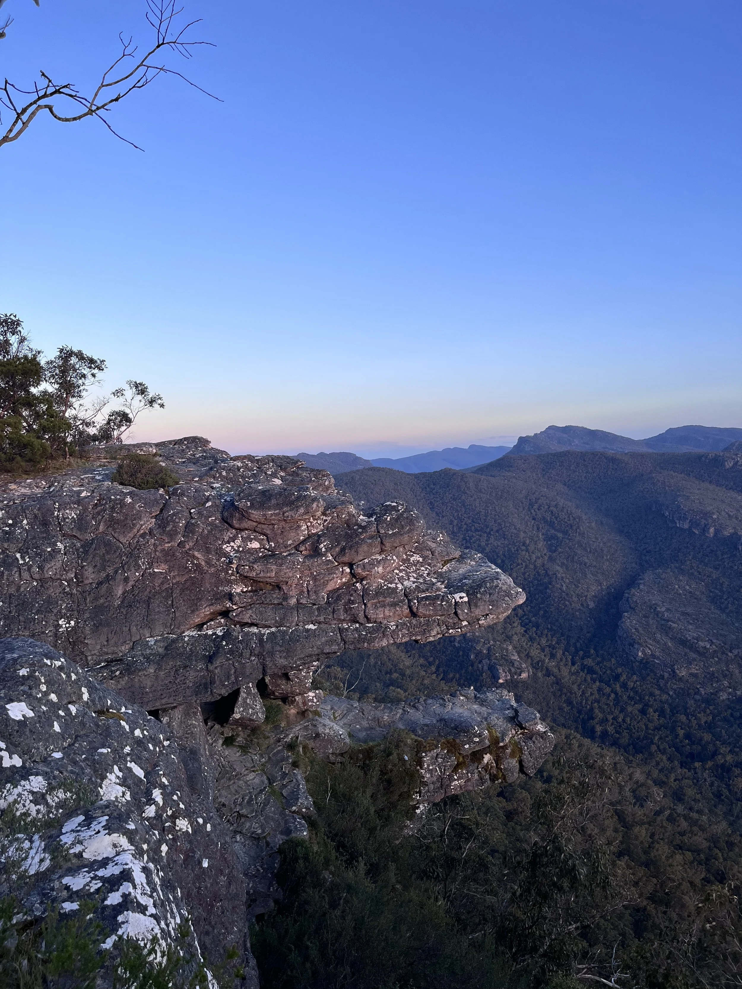 A rocky mountain ridge with sparse vegetation and trees, background of distant mountain ranges, and a clear blue sky.