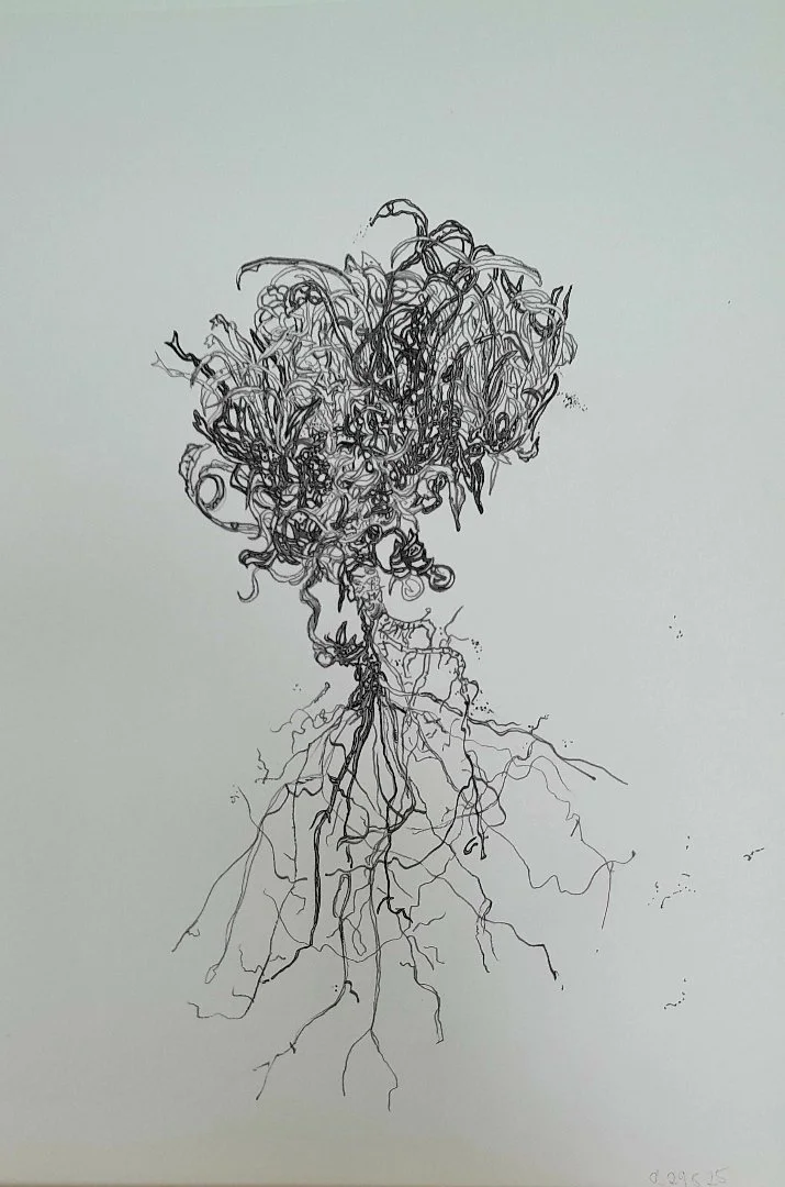 Clare Bell, tangle, 2025