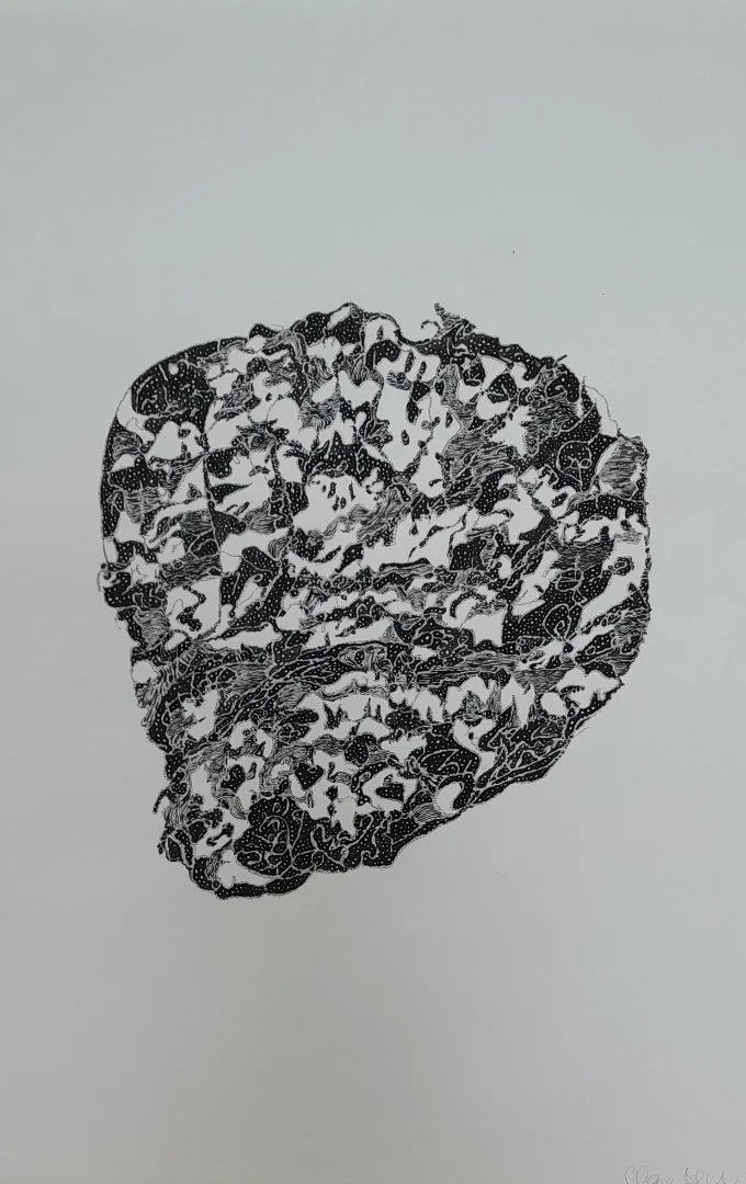 Clare Bell, one rock 5, 2024