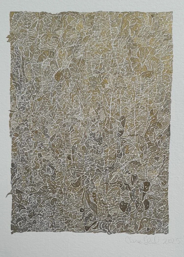 Clare Bell, thicket 2, 2026