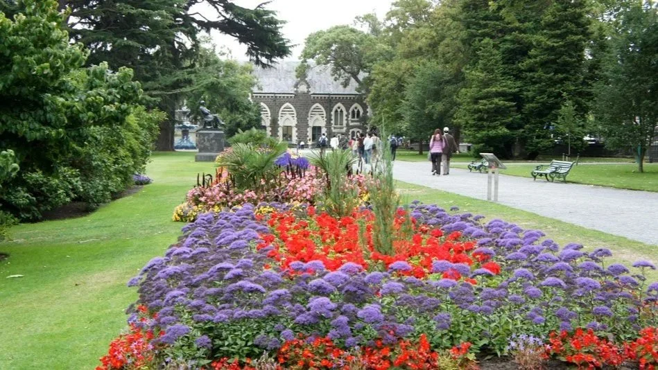 Christchurch Activities