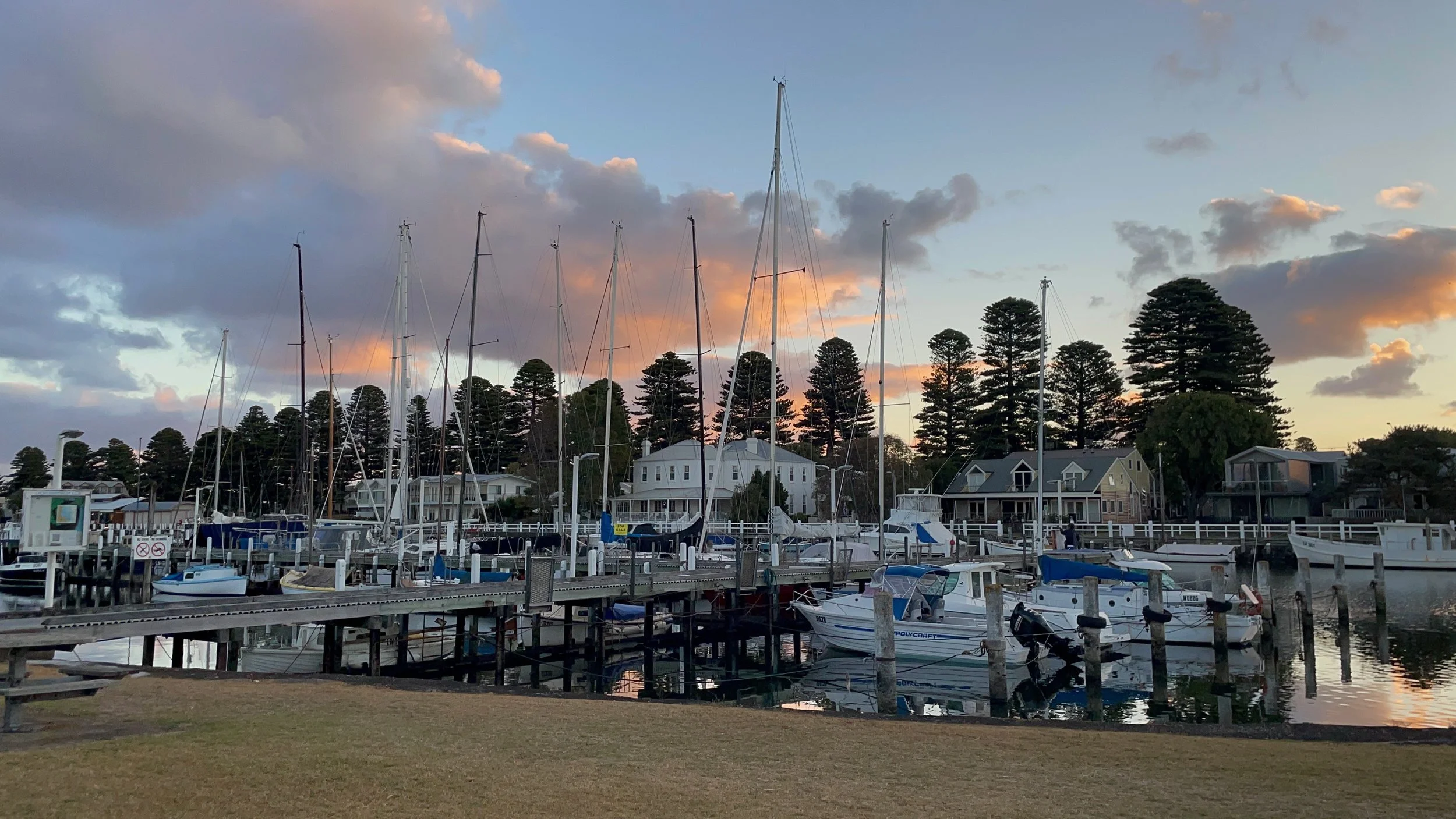 A marina with sailboats docked at the pier, houses on a hillside, tall pine trees, and a partly cloudy sky at sunset.