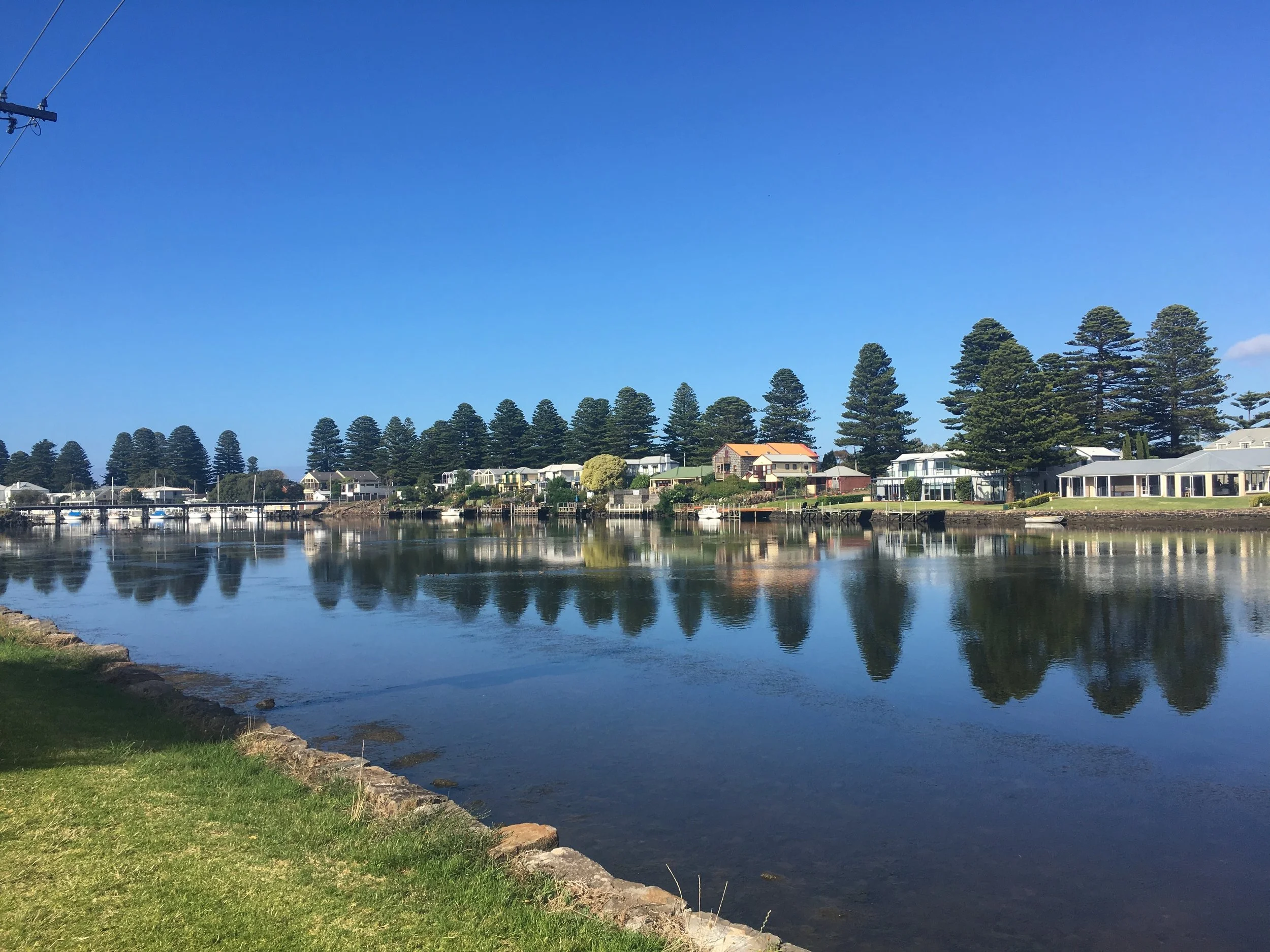 A body of water reflecting houses and tall pine trees along the shoreline under a clear blue sky.