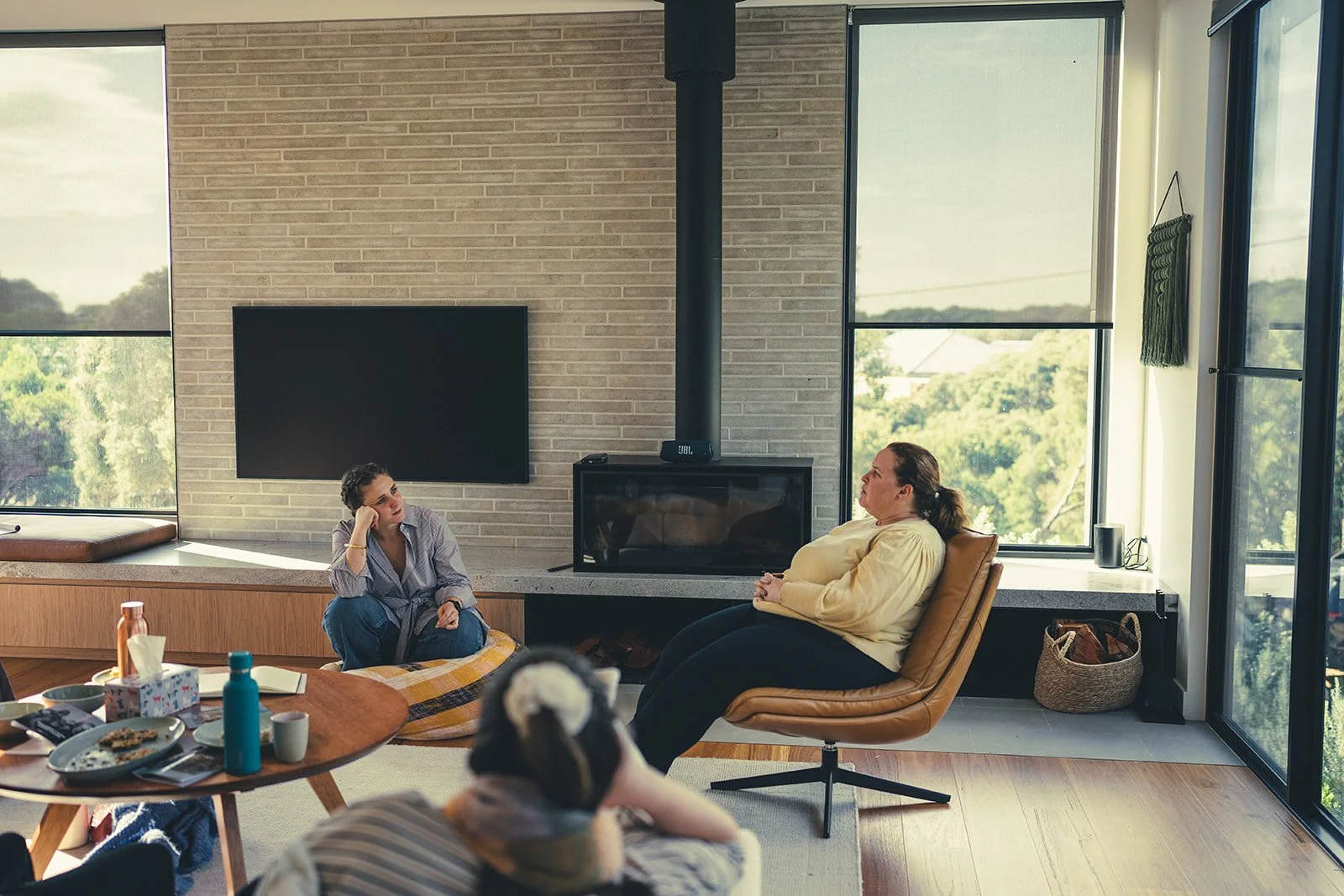Two women having a conversation in a modern living room with large windows, a flat-screen TV, and a wood stove.