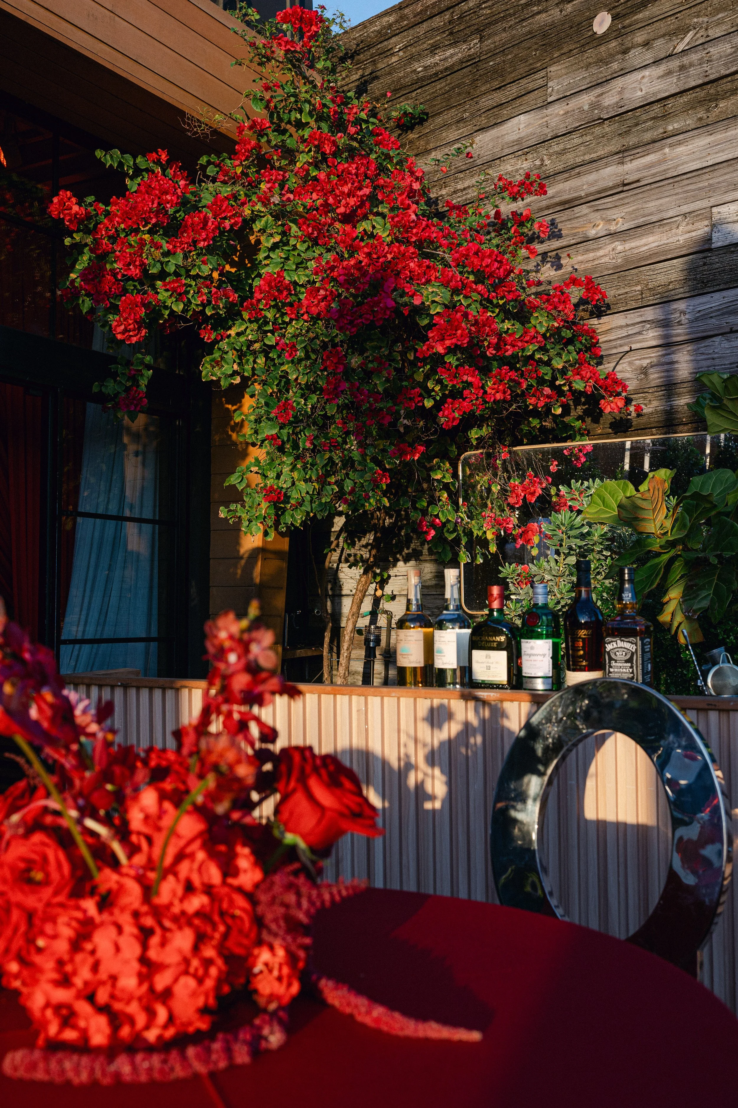 A vibrant outdoor scene with numerous red flowers in the foreground and a bar area with various liquor bottles. A wooden fence and wall are visible in the background, with one window partly covered by a curtain.