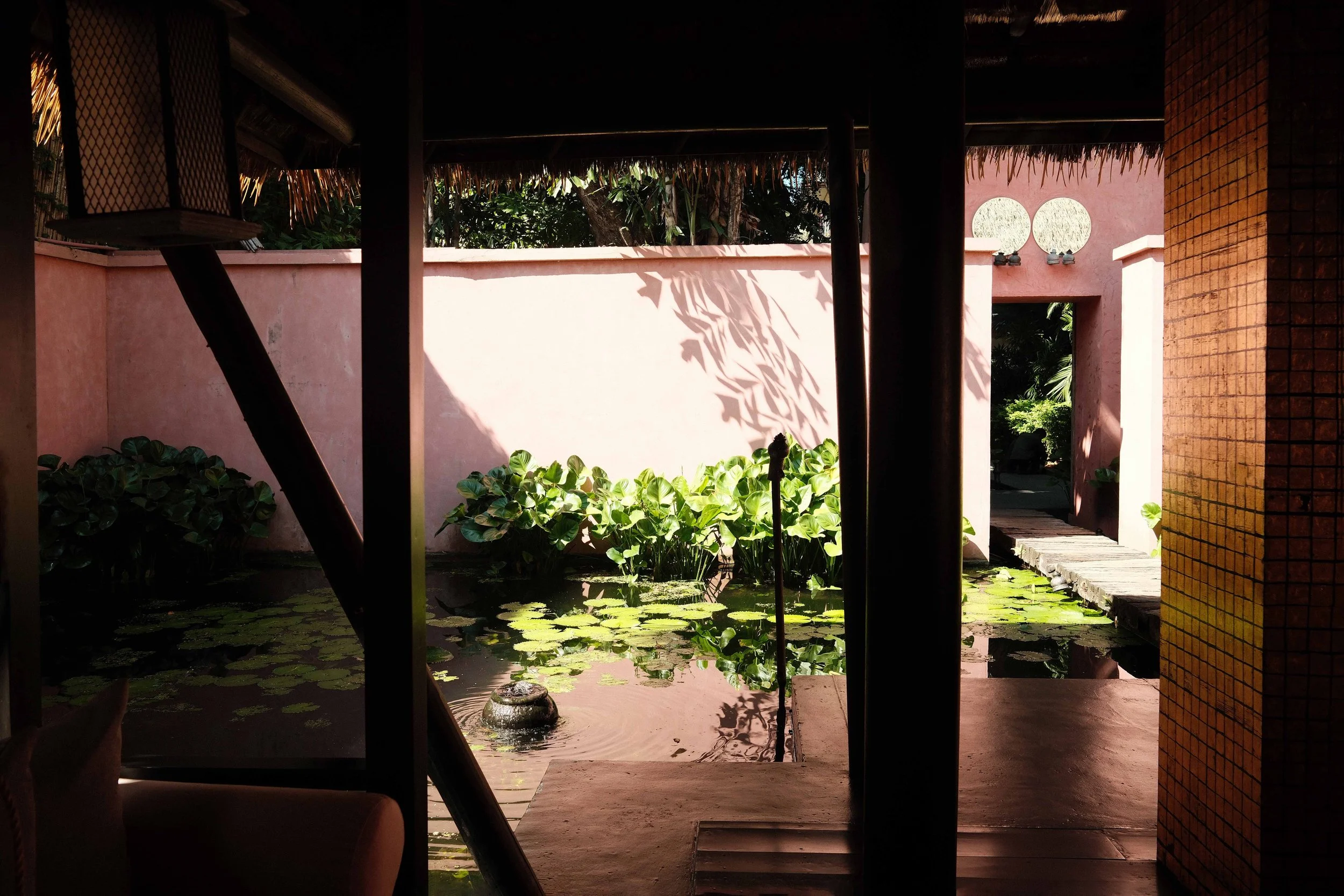 DSCF2937.jpg
