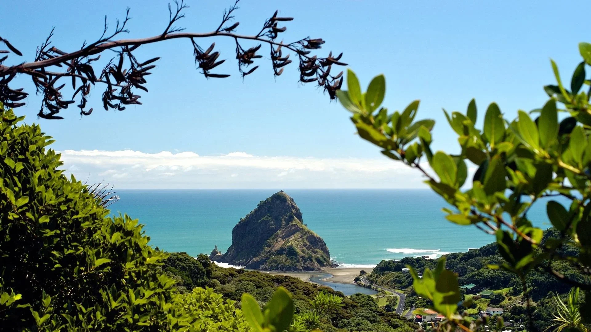 229763-piha-beach-auckland-web-1920.jpg