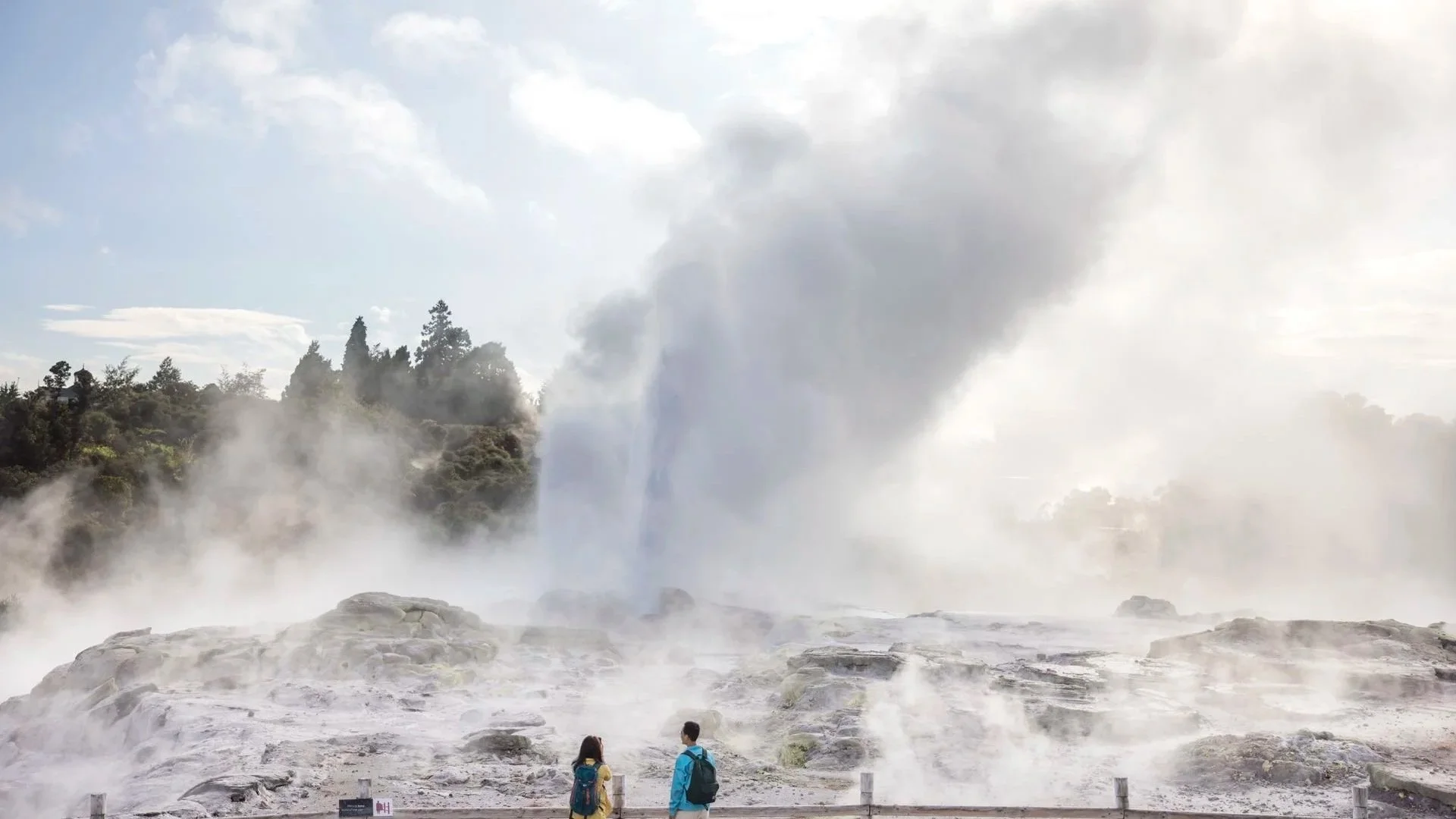 Rotorua Tours from Auckland