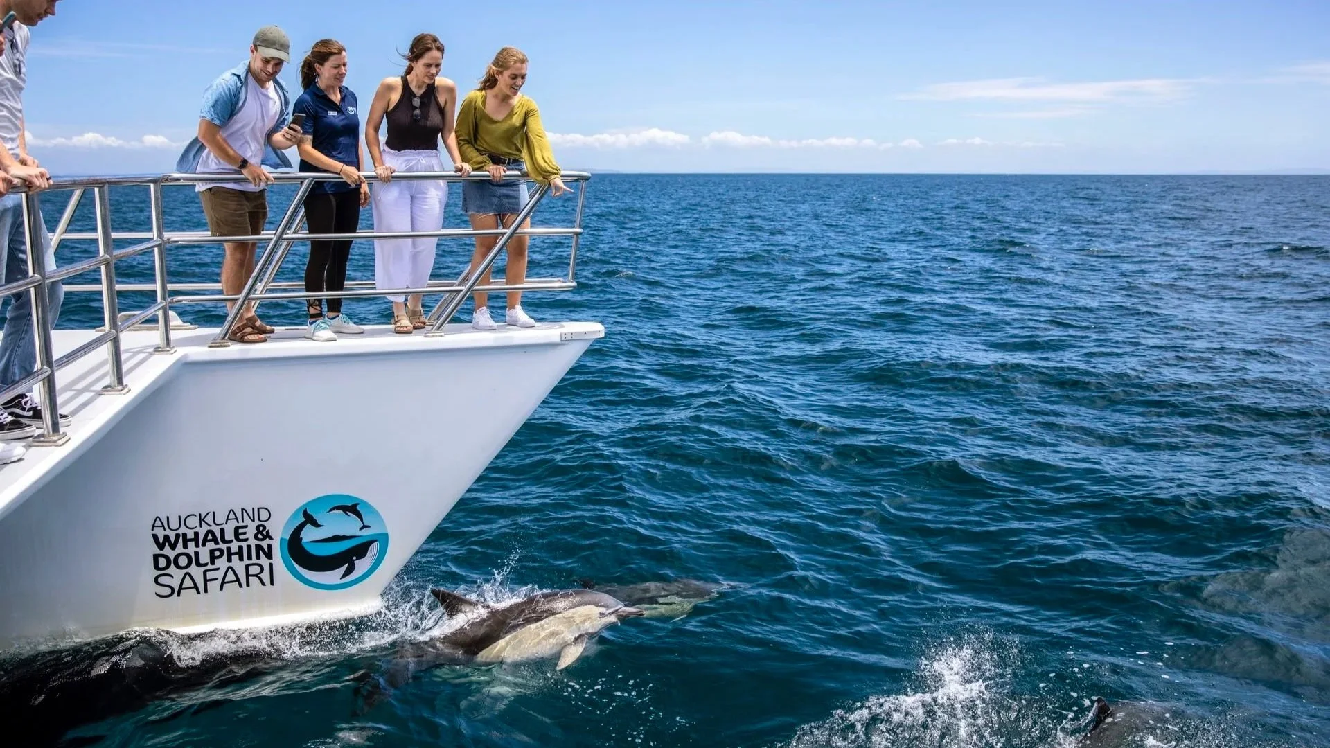 Best Auckland Activities